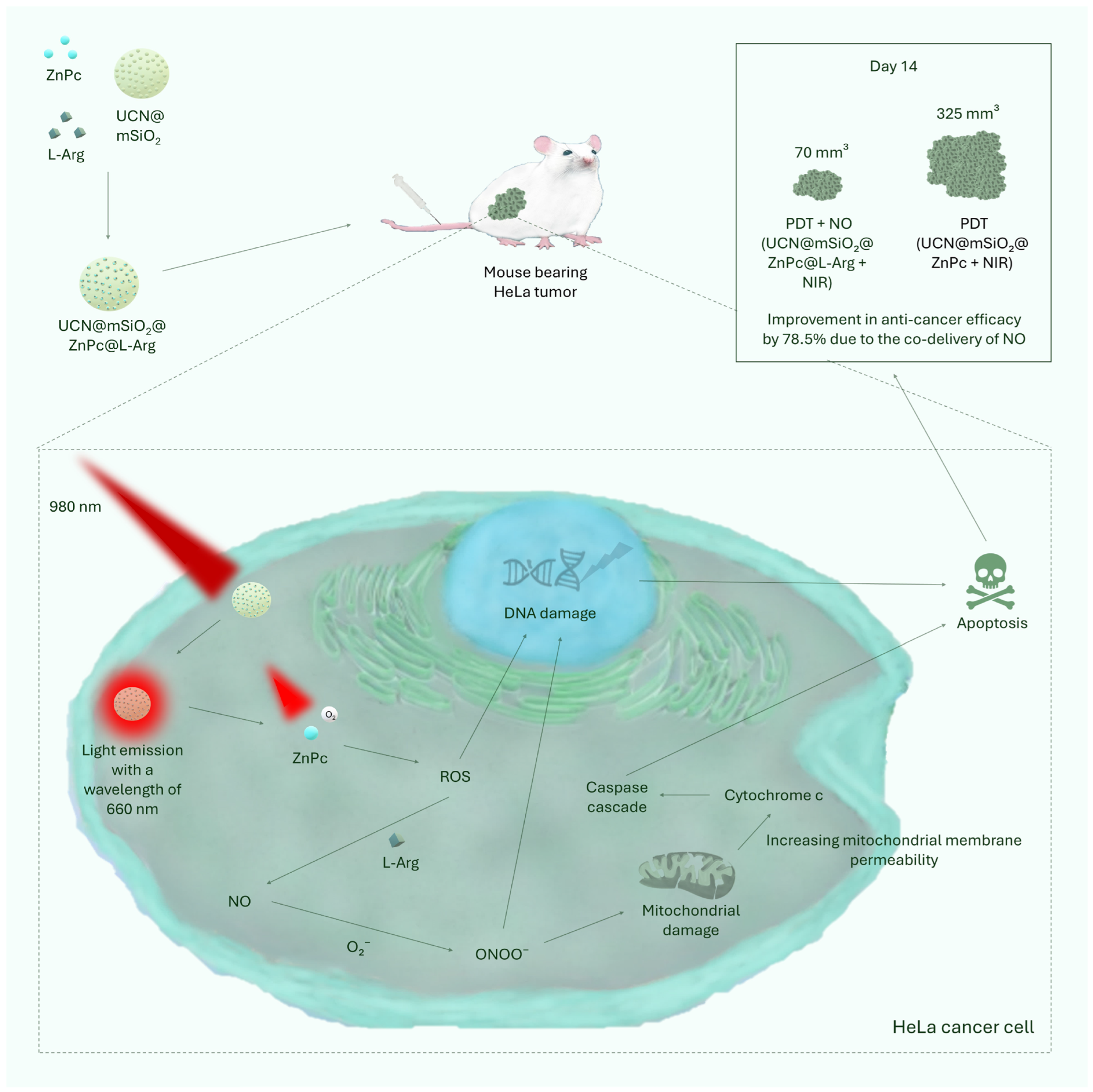 Cancers 17 02572 g003 Cancers 17 02572 g003