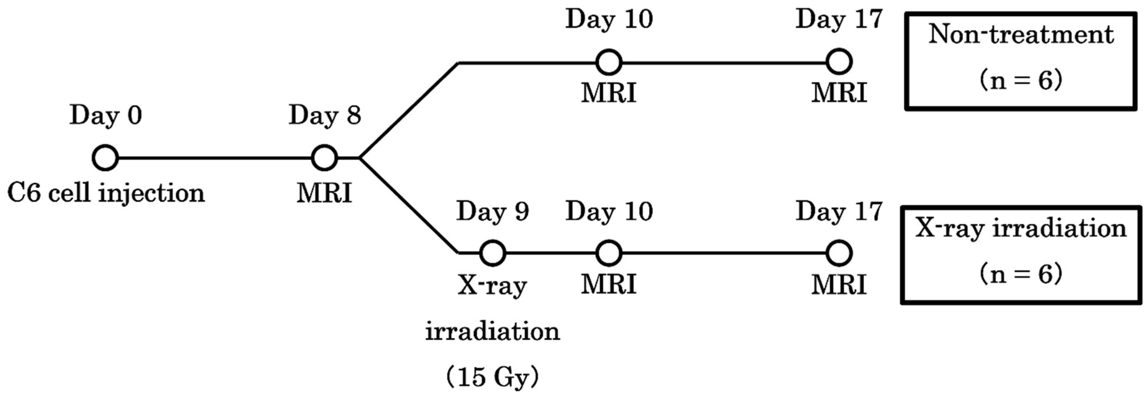 Cancers 17 02578 g001