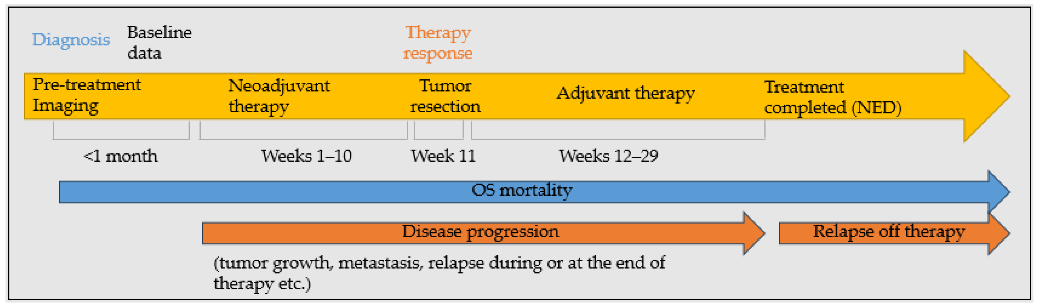 Cancers 17 02586 g002 Cancers 17 02586 g002