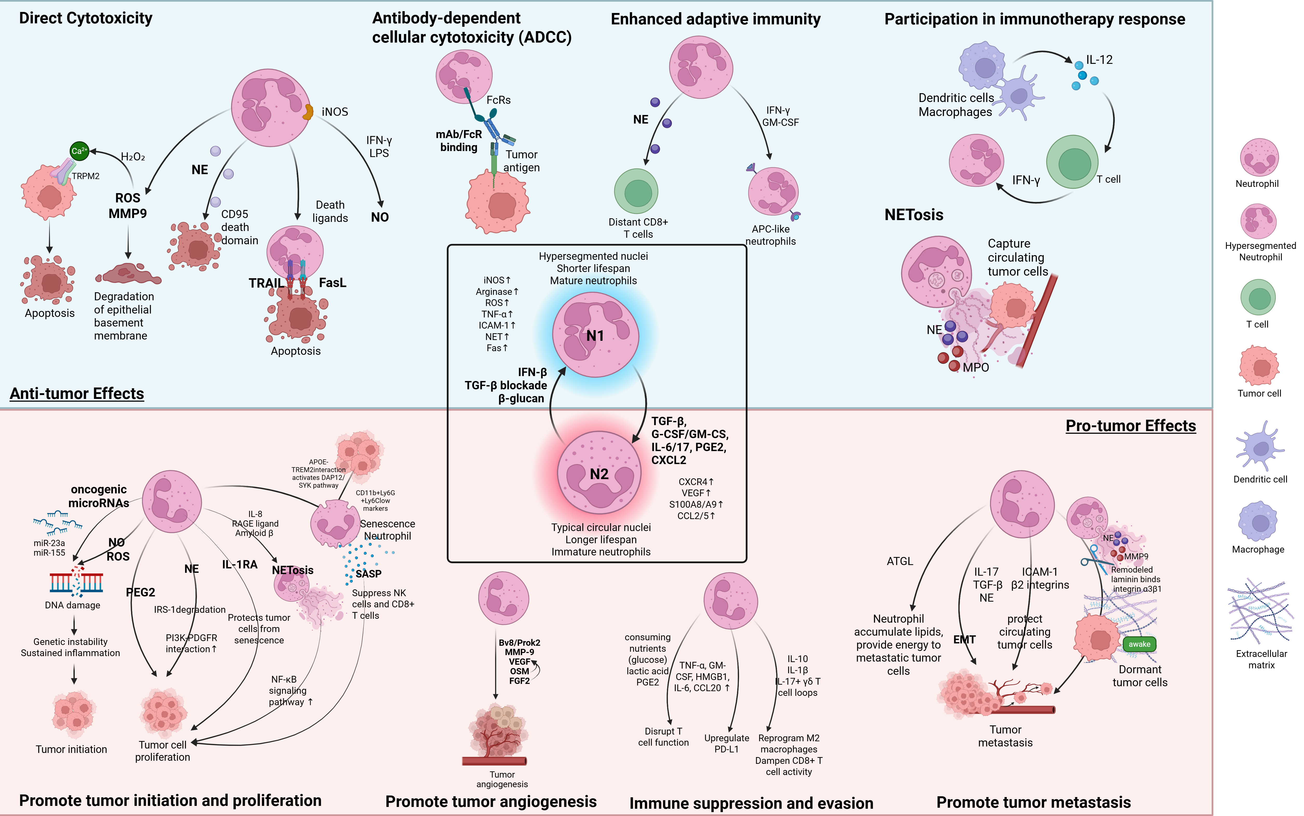 Cancers 17 02593 g001 Cancers 17 02593 g001