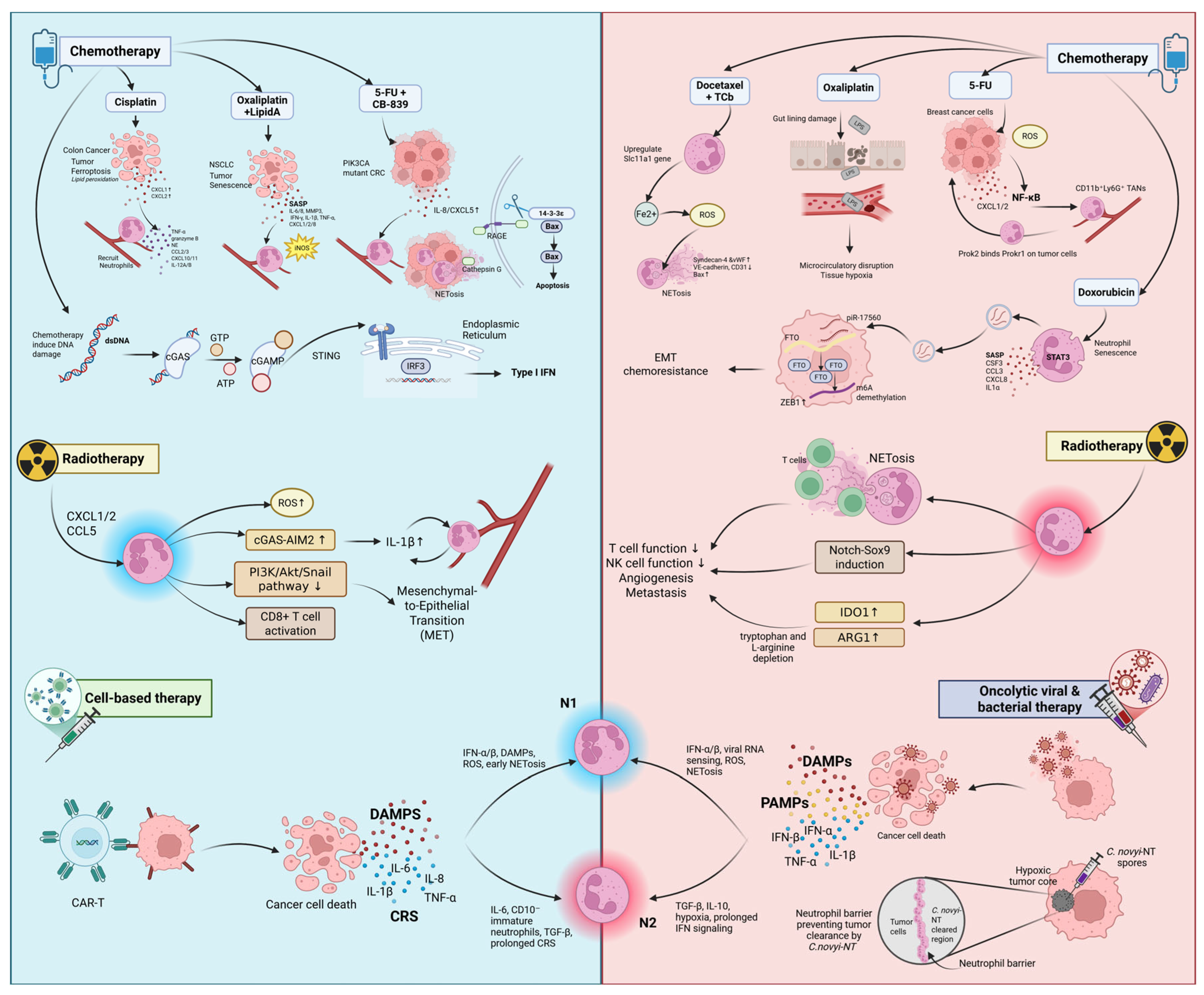 Cancers 17 02593 g002 Cancers 17 02593 g002