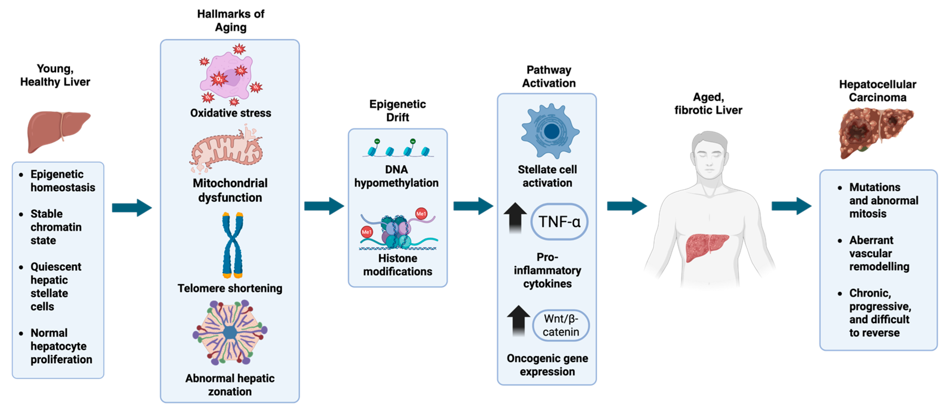 Cancers 17 02600 g001 Cancers 17 02600 g001