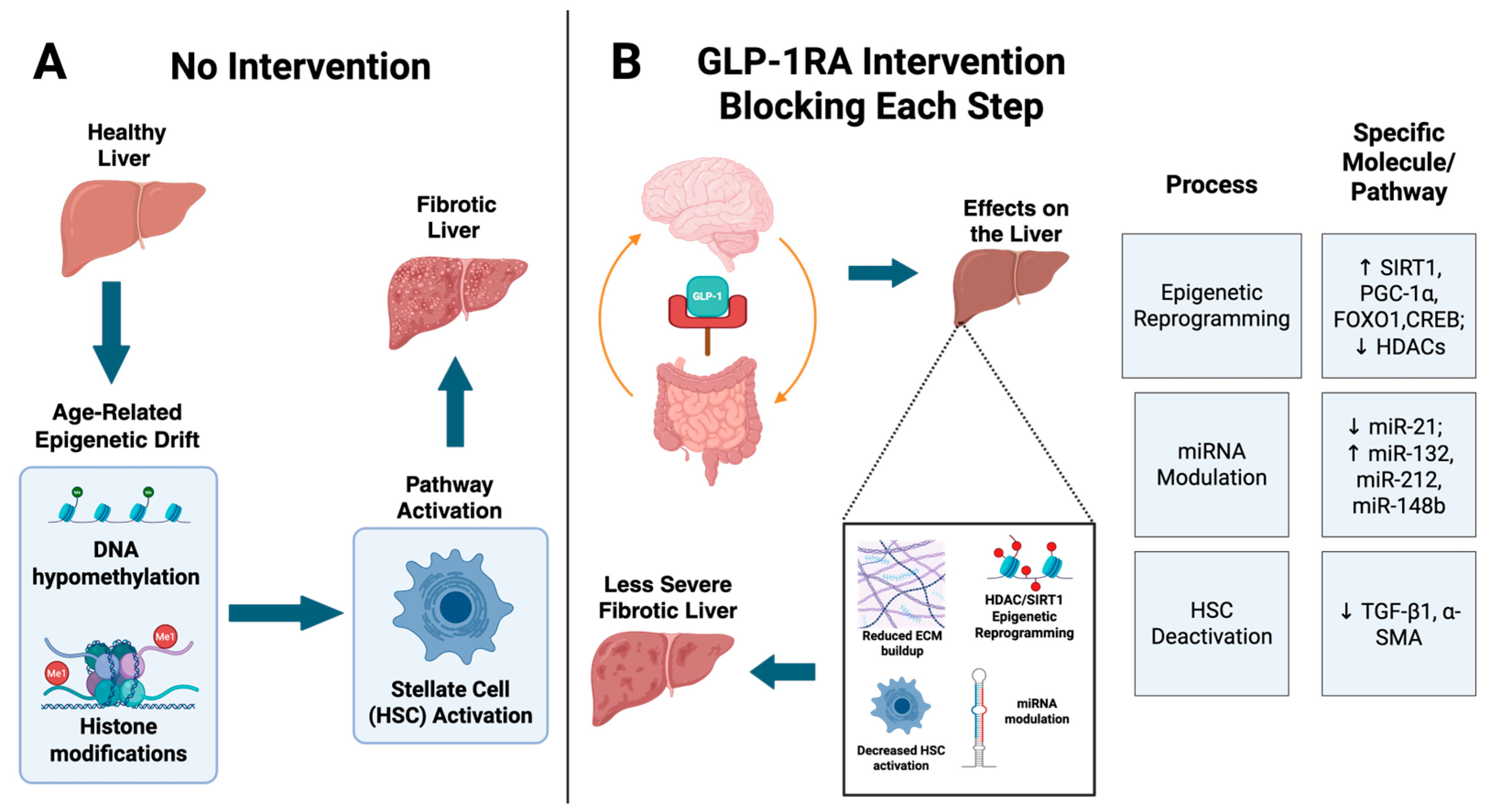 Cancers 17 02600 g002 Cancers 17 02600 g002