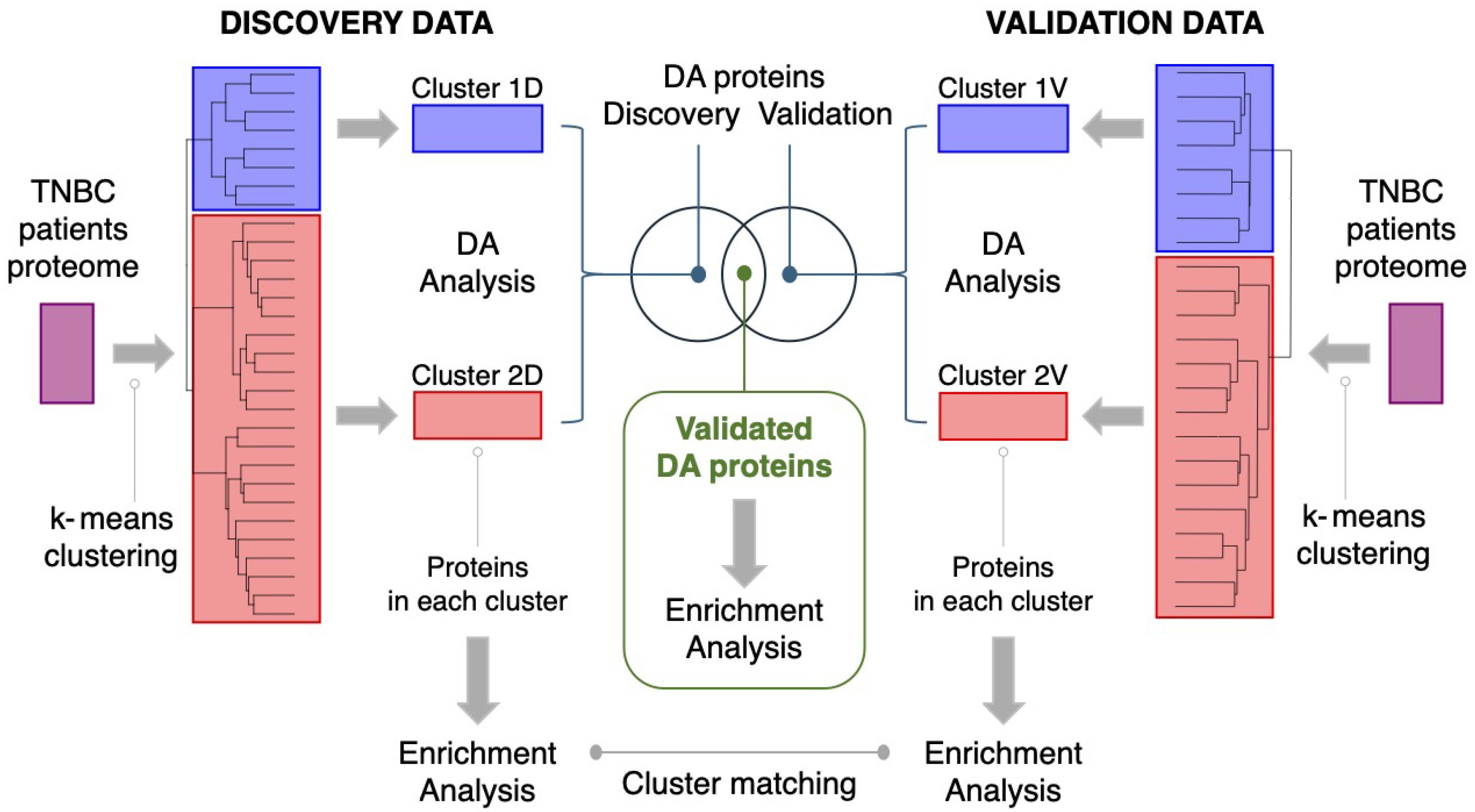 Cancers 17 02601 g001