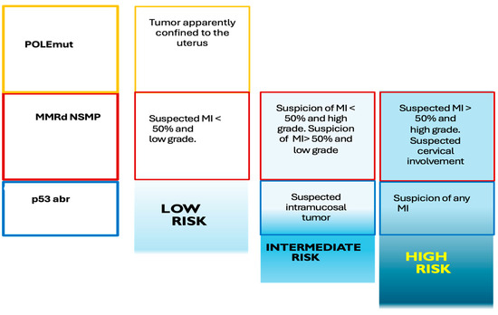 Molecular Imaging in Endometrial Cancer: A Narrative Review