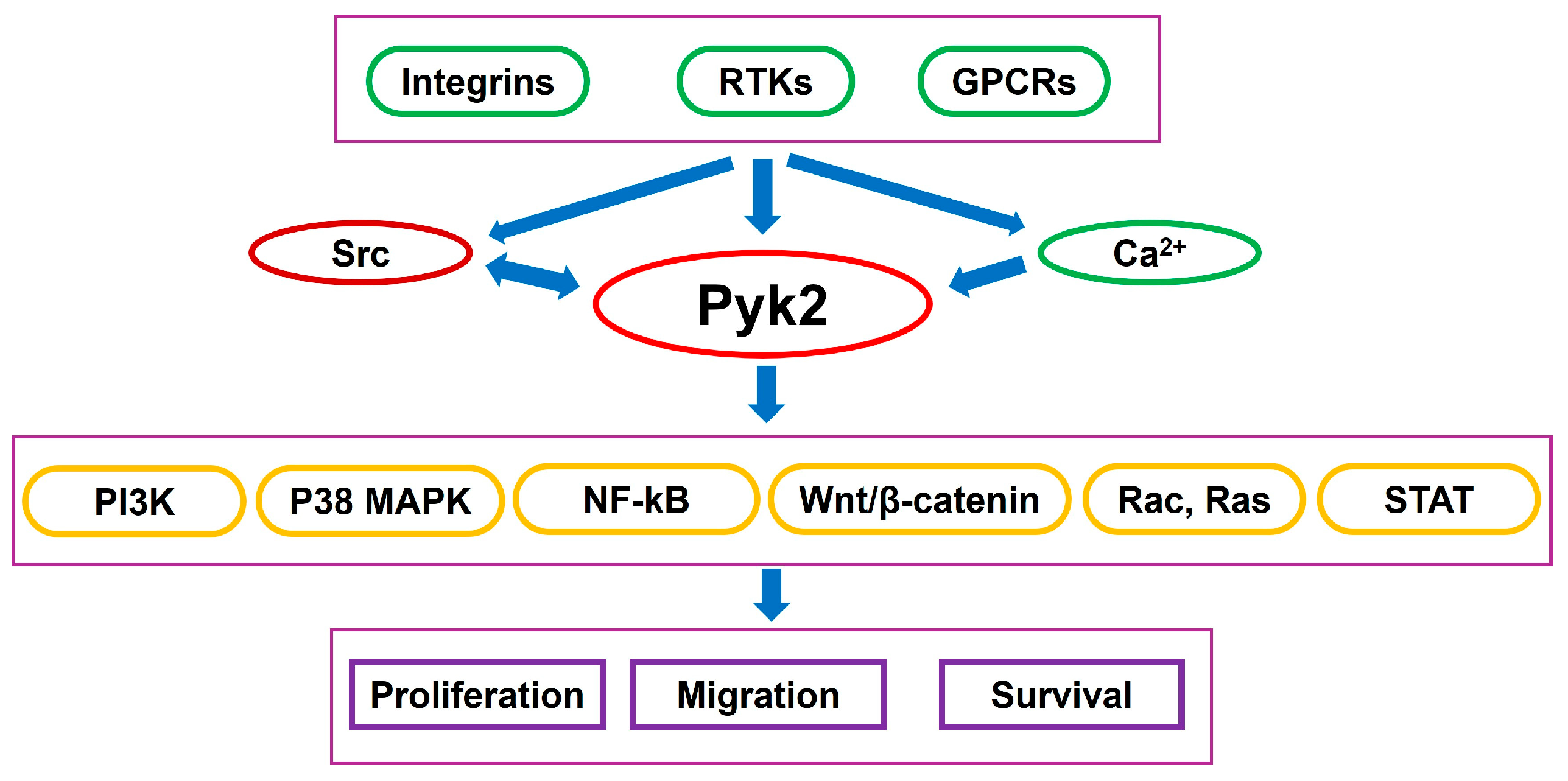 Cancers 17 02611 g001