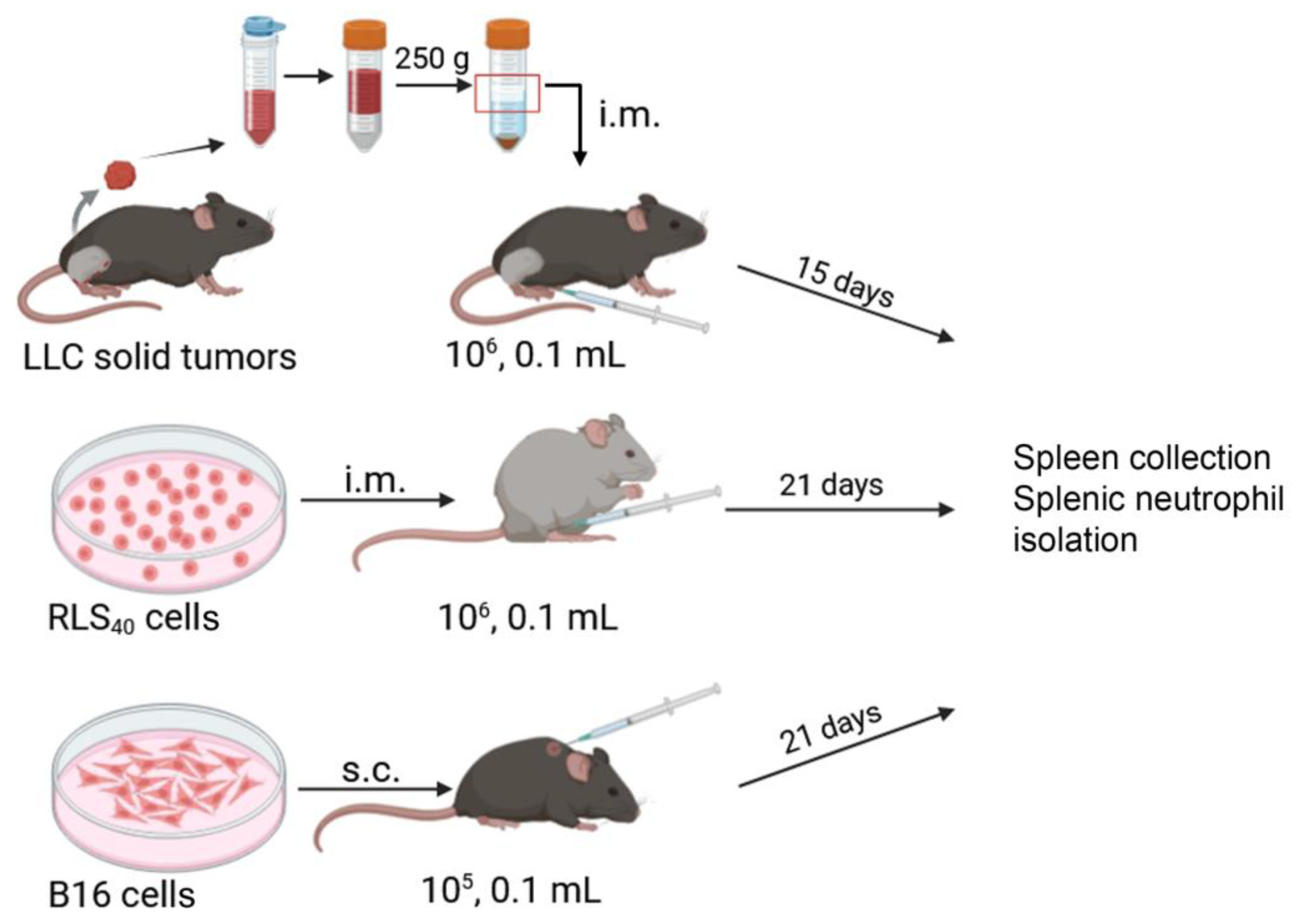 Cancers 17 02631 g001