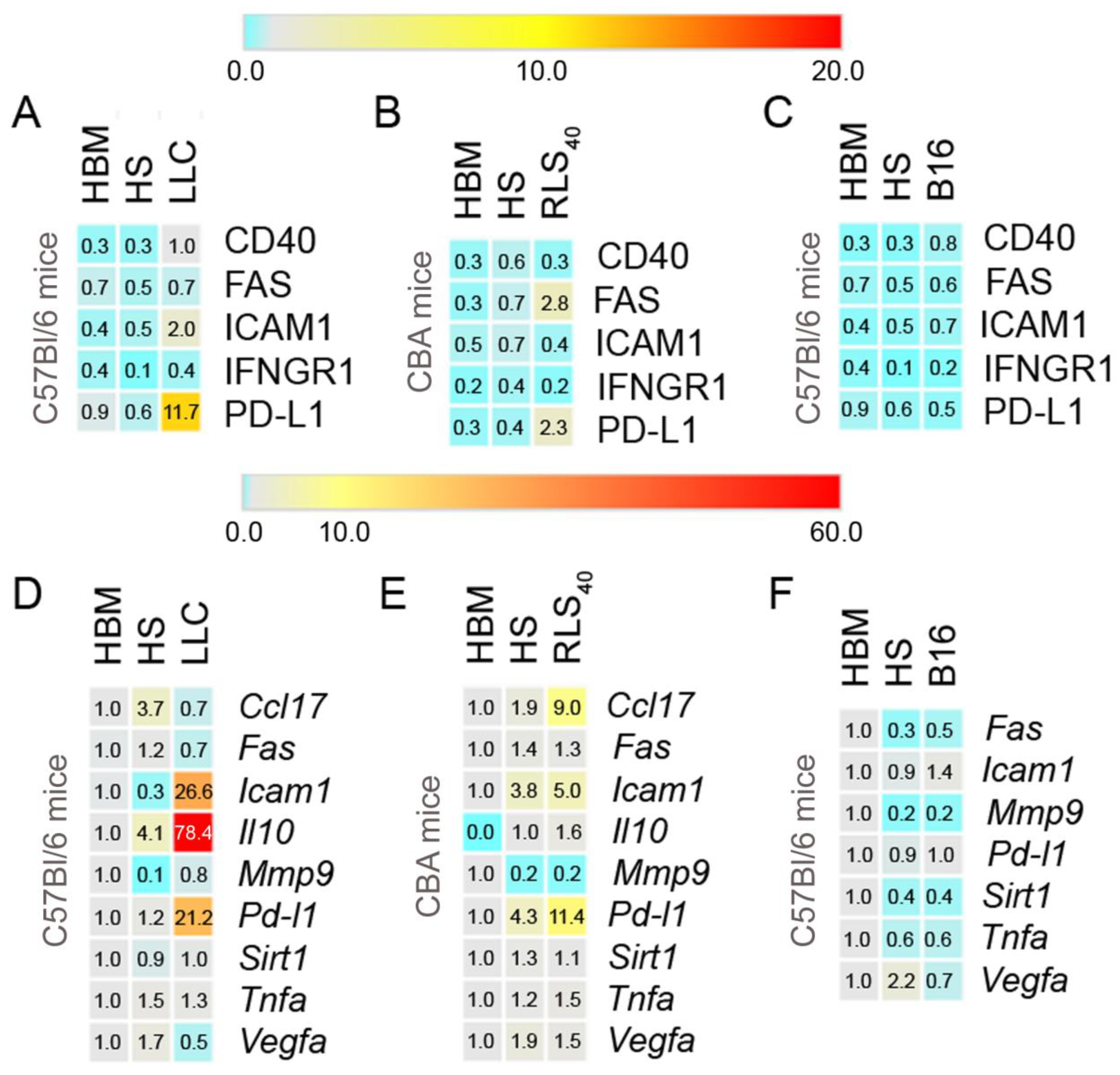 Cancers 17 02631 g002