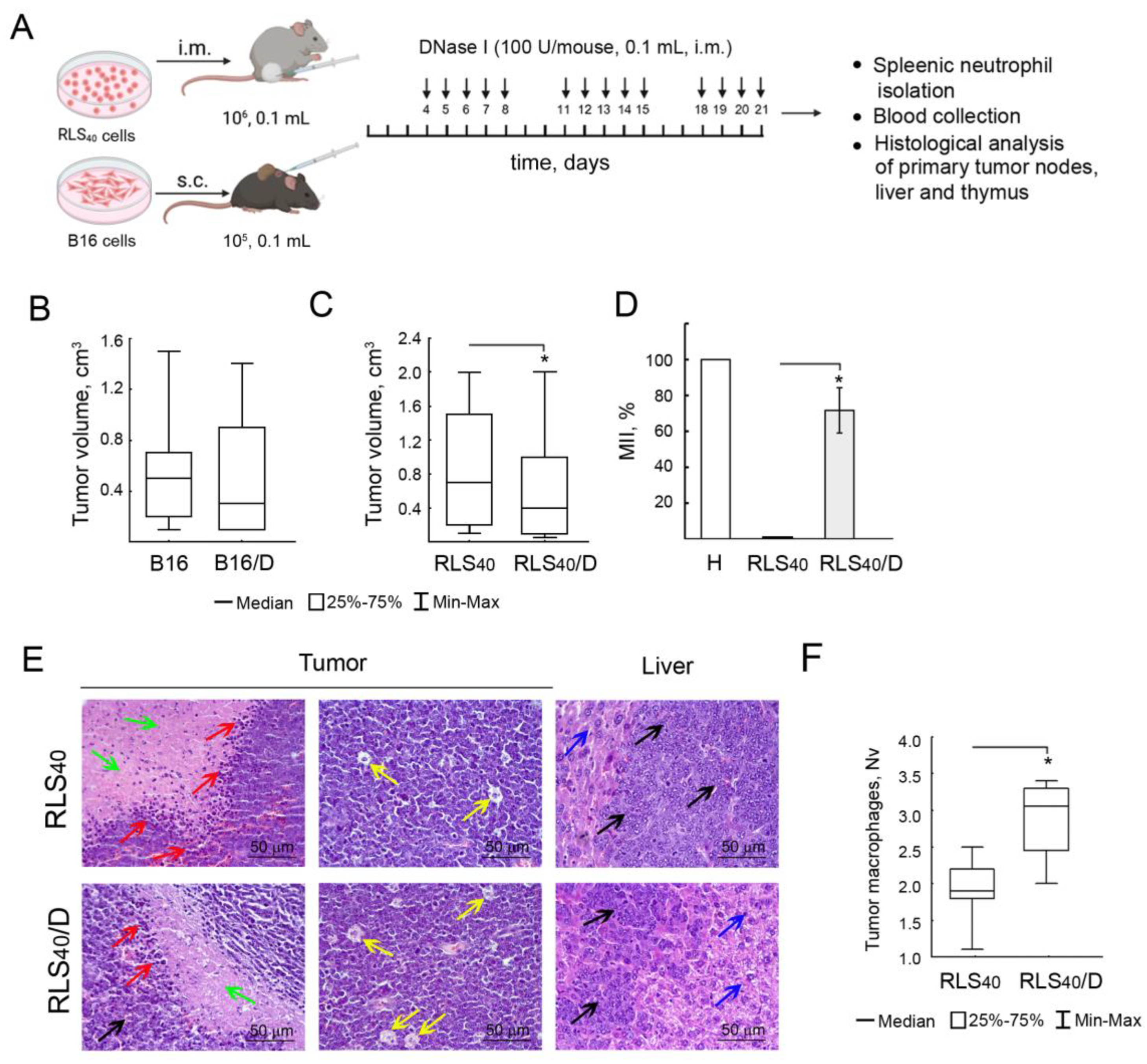 Cancers 17 02631 g003