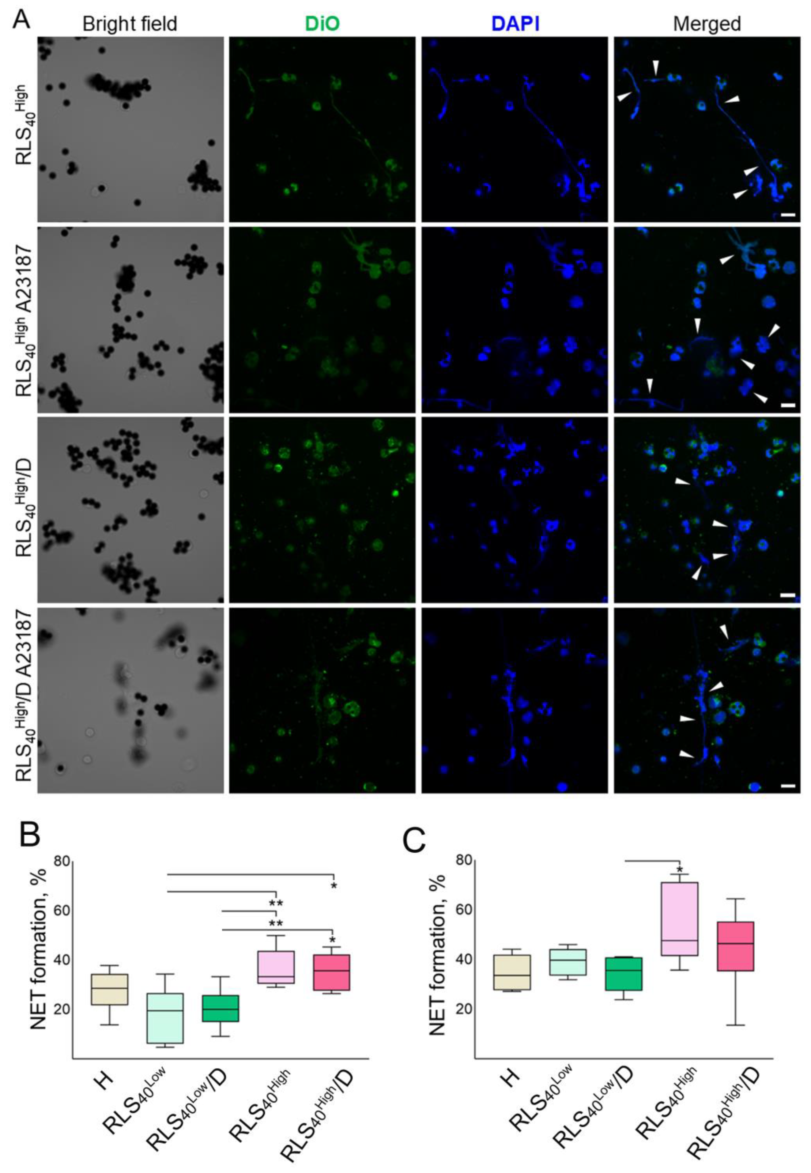 Cancers 17 02631 g006
