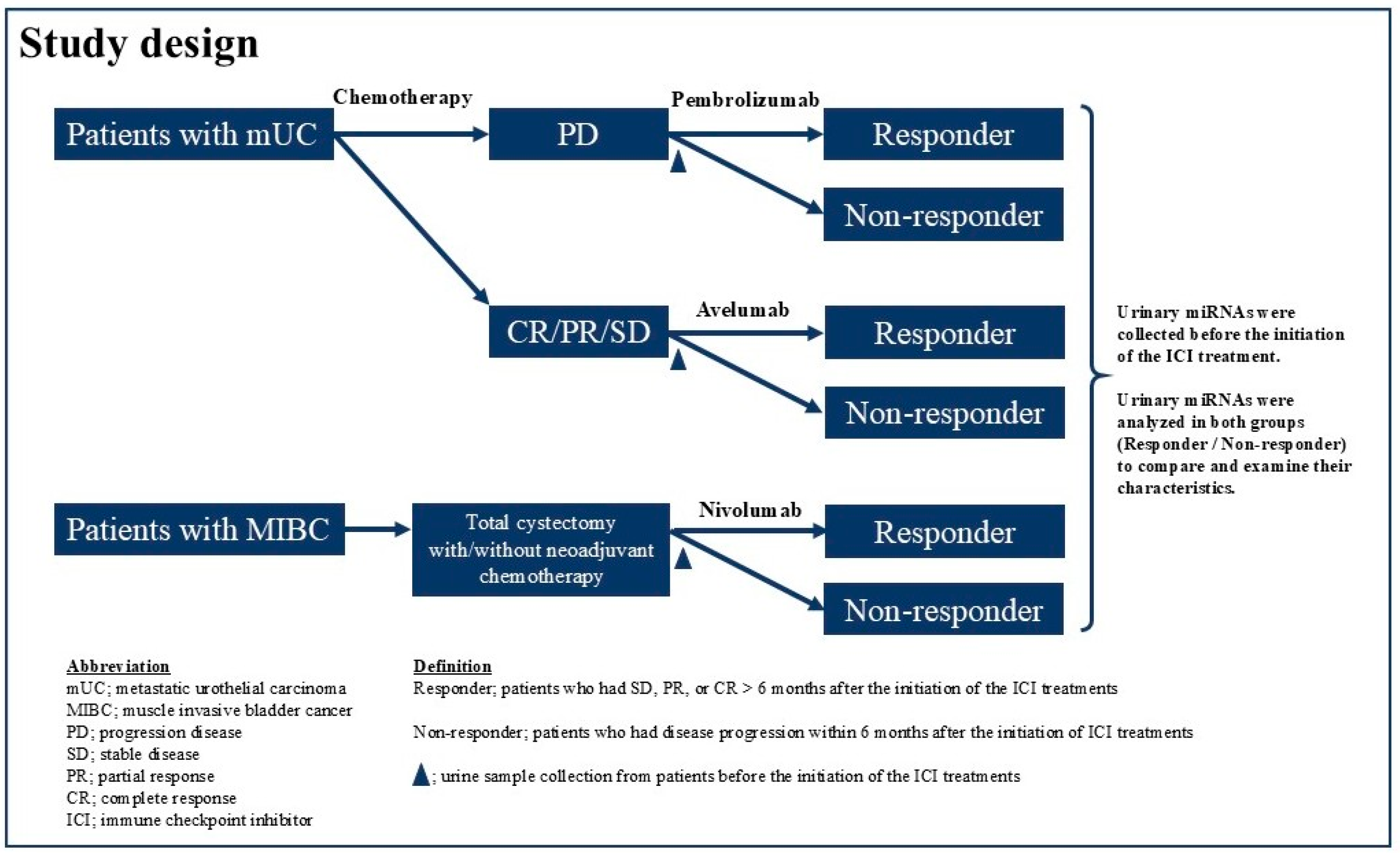Cancers 17 02640 g001