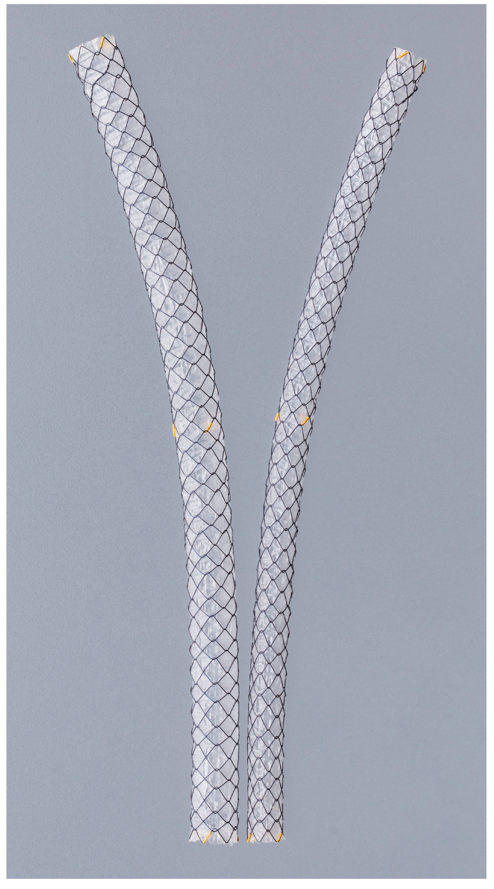 Cancers 17 02644 g001