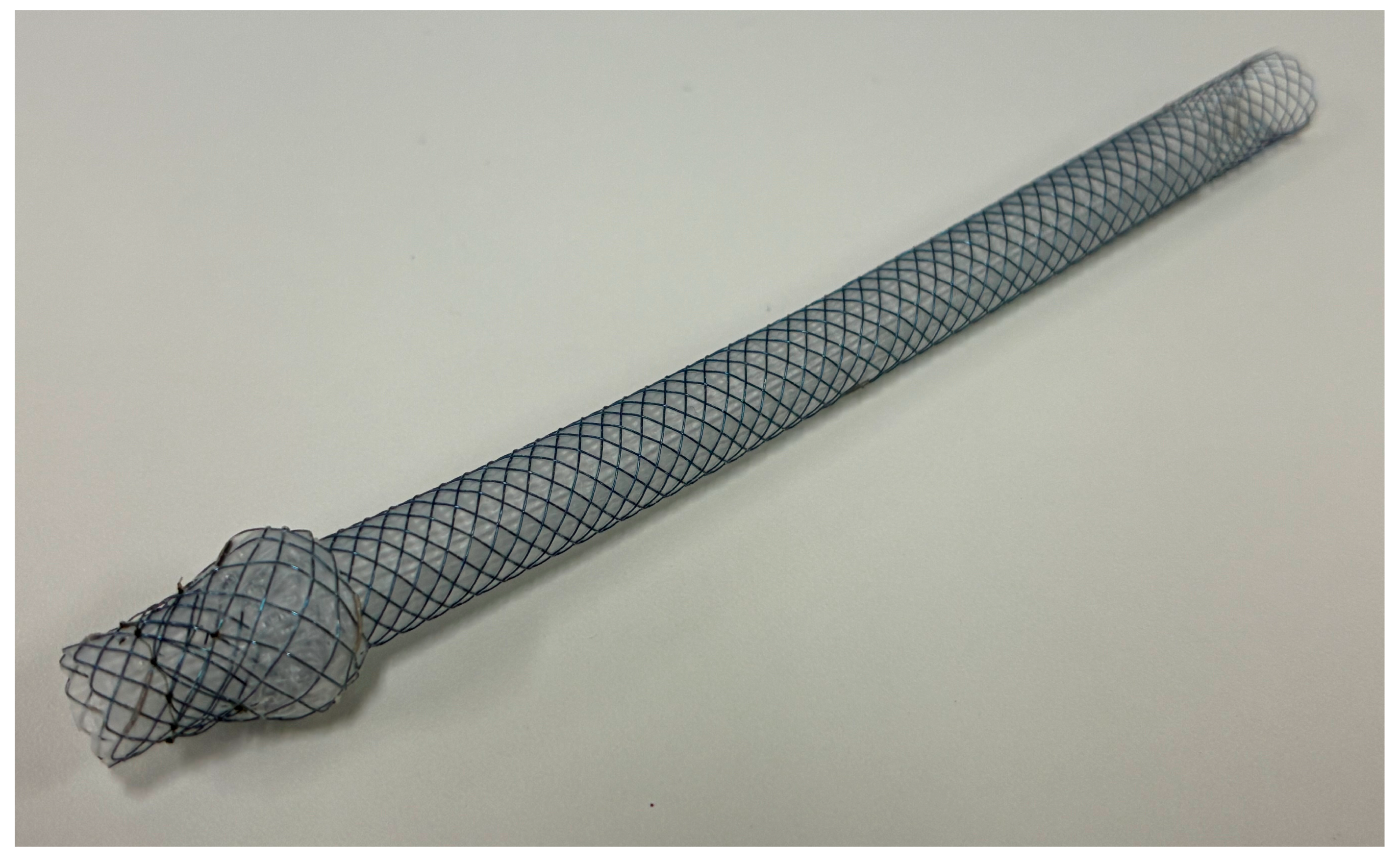 Cancers 17 02644 g004