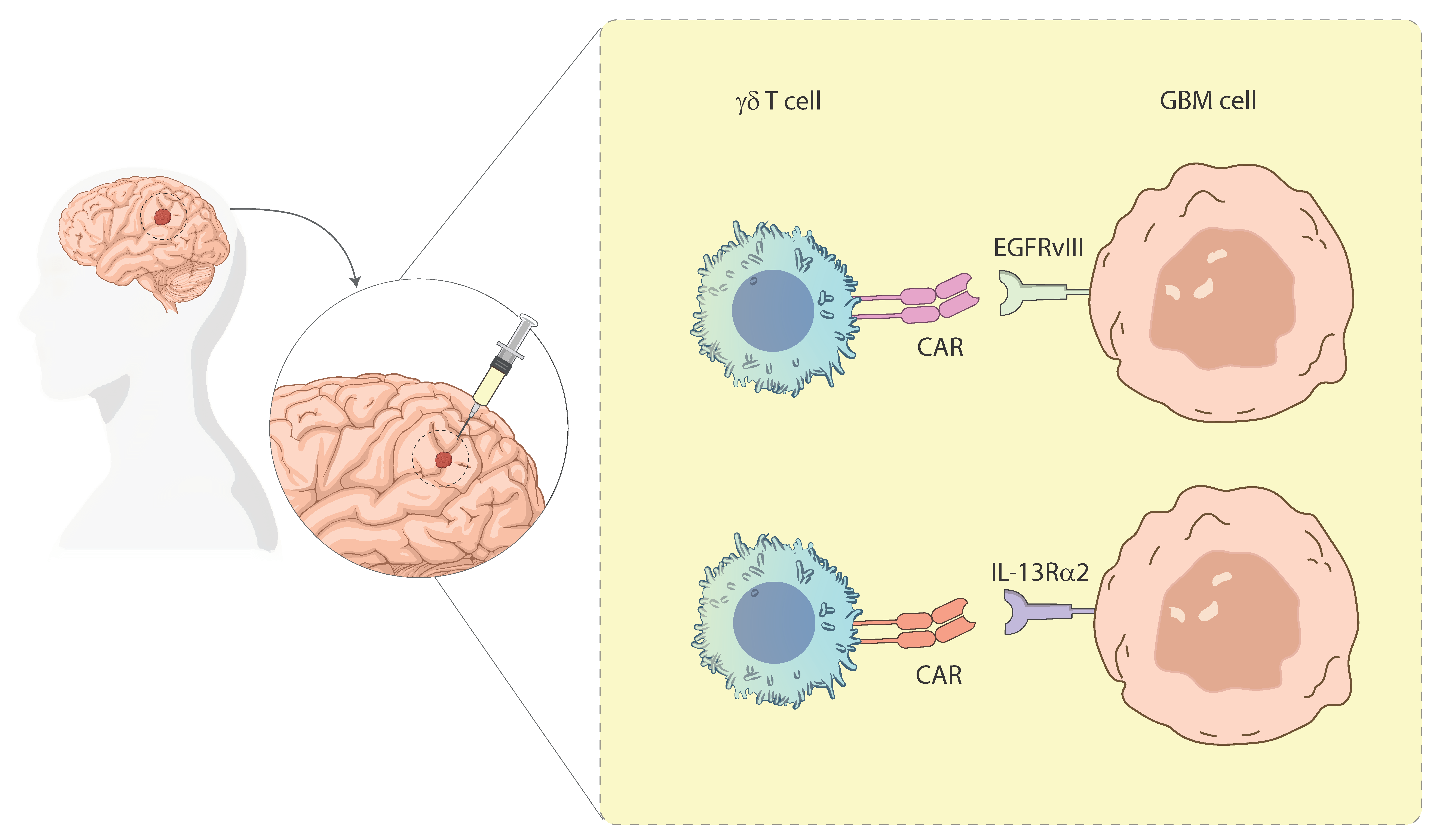 Cancers 17 02660 g003 Cancers 17 02660 g003