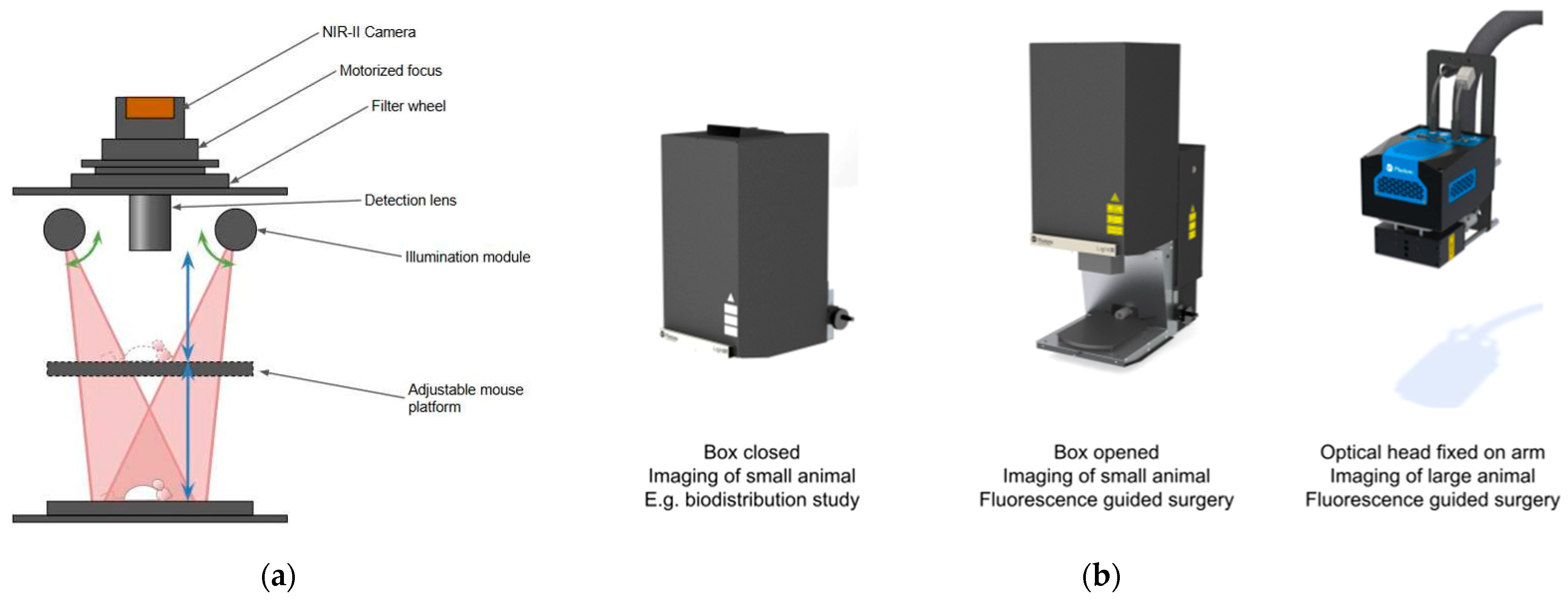 Cancers 17 02676 g001