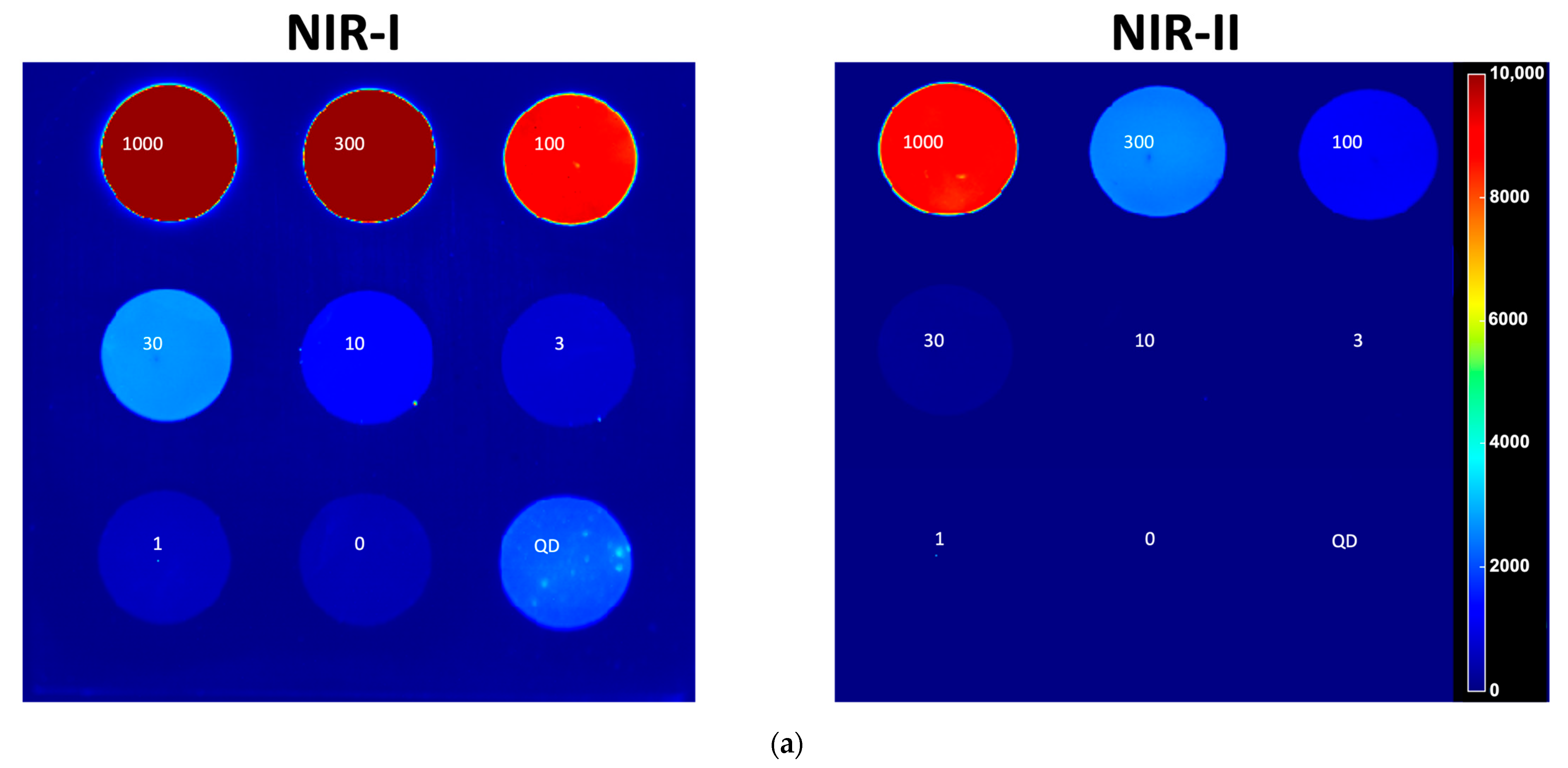 Cancers 17 02676 g002a