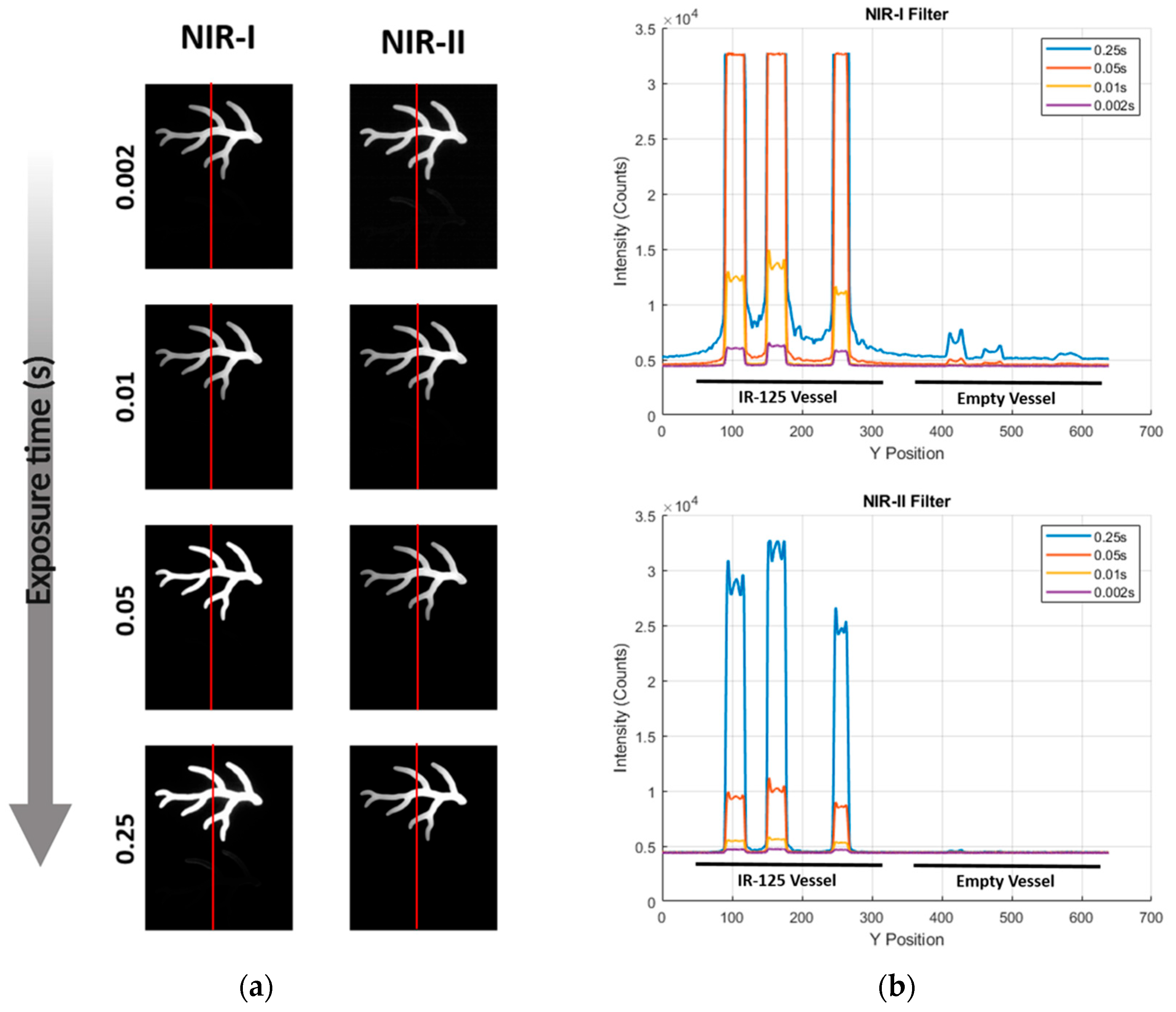 Cancers 17 02676 g004