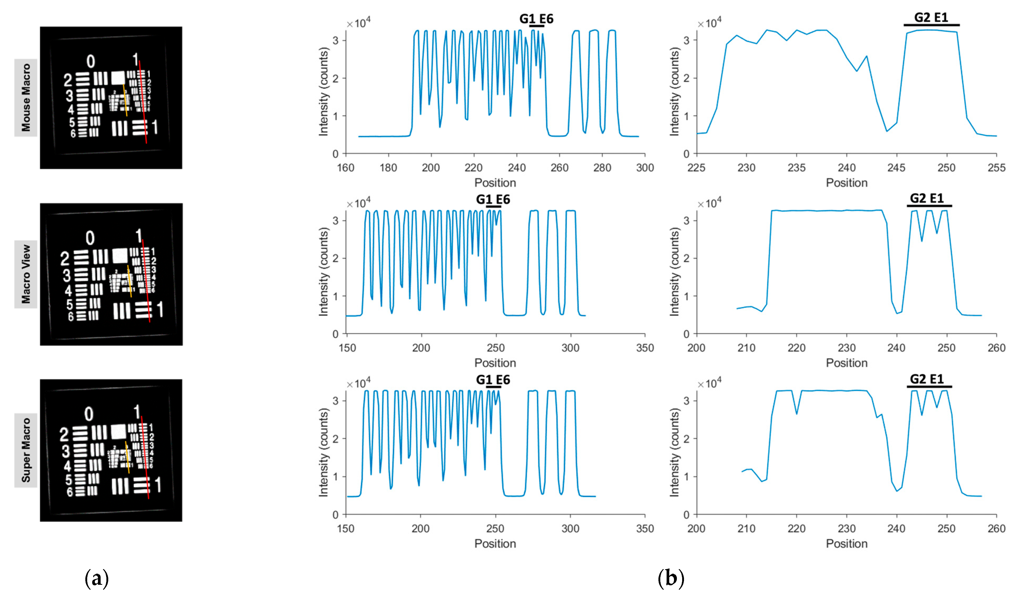 Cancers 17 02676 g005