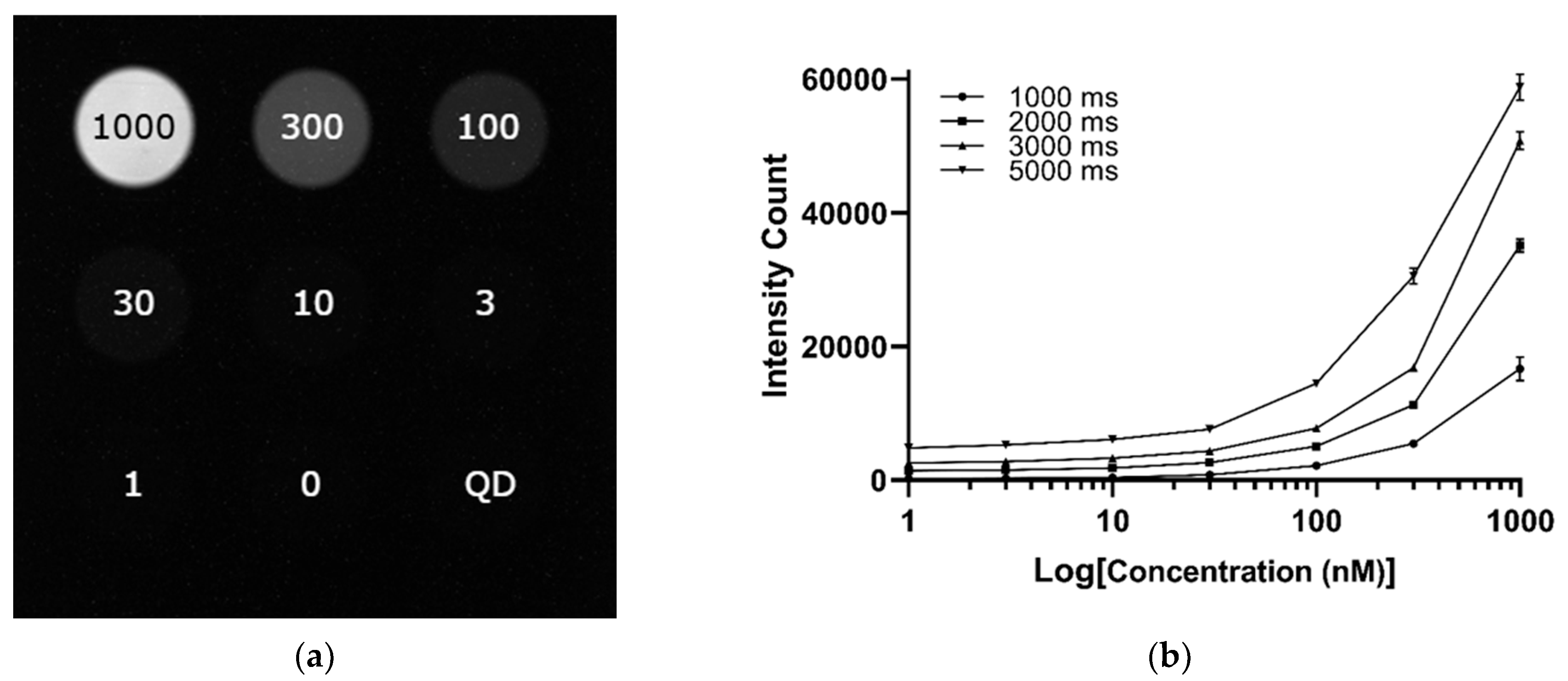 Cancers 17 02676 g006a