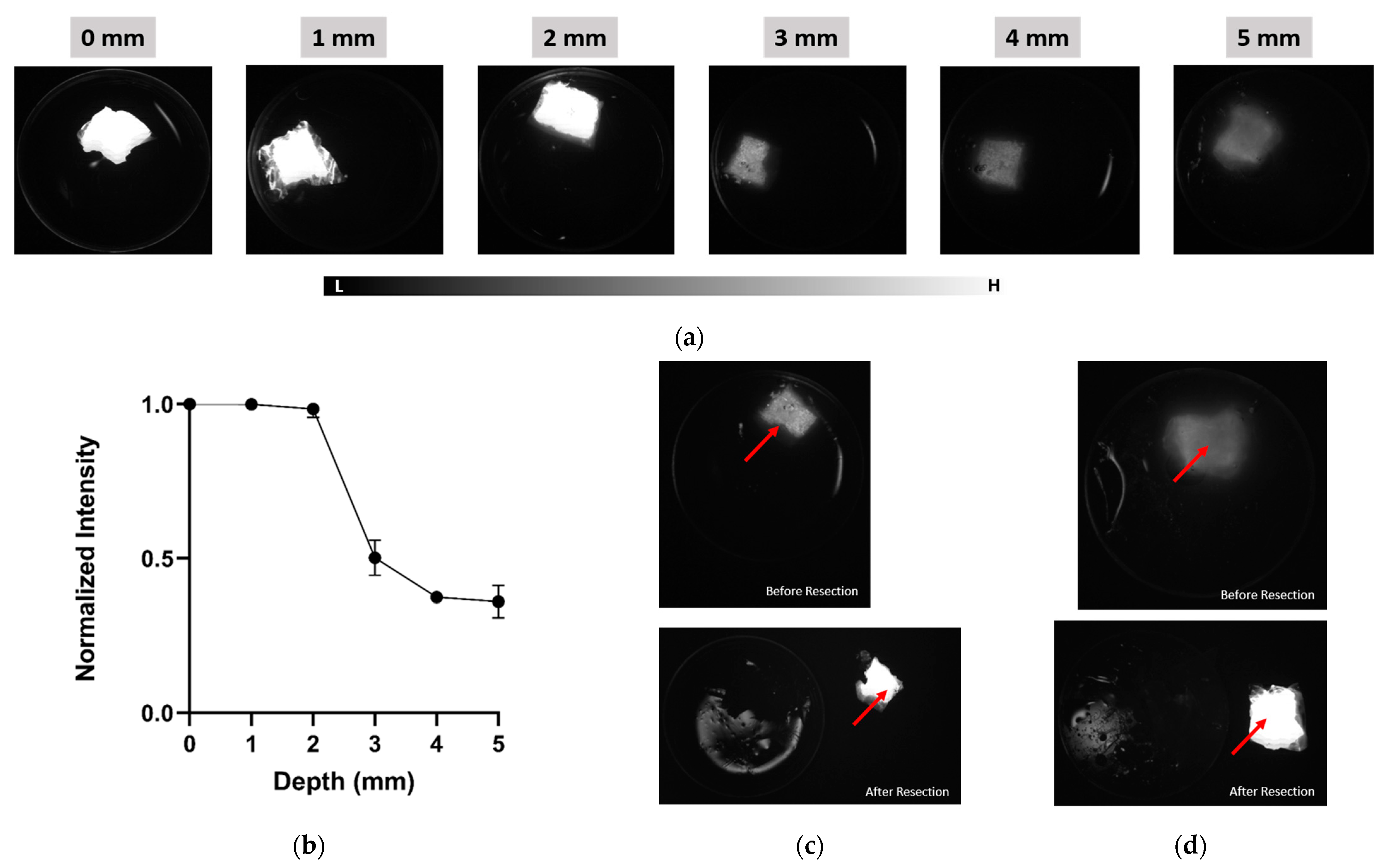 Cancers 17 02676 g007