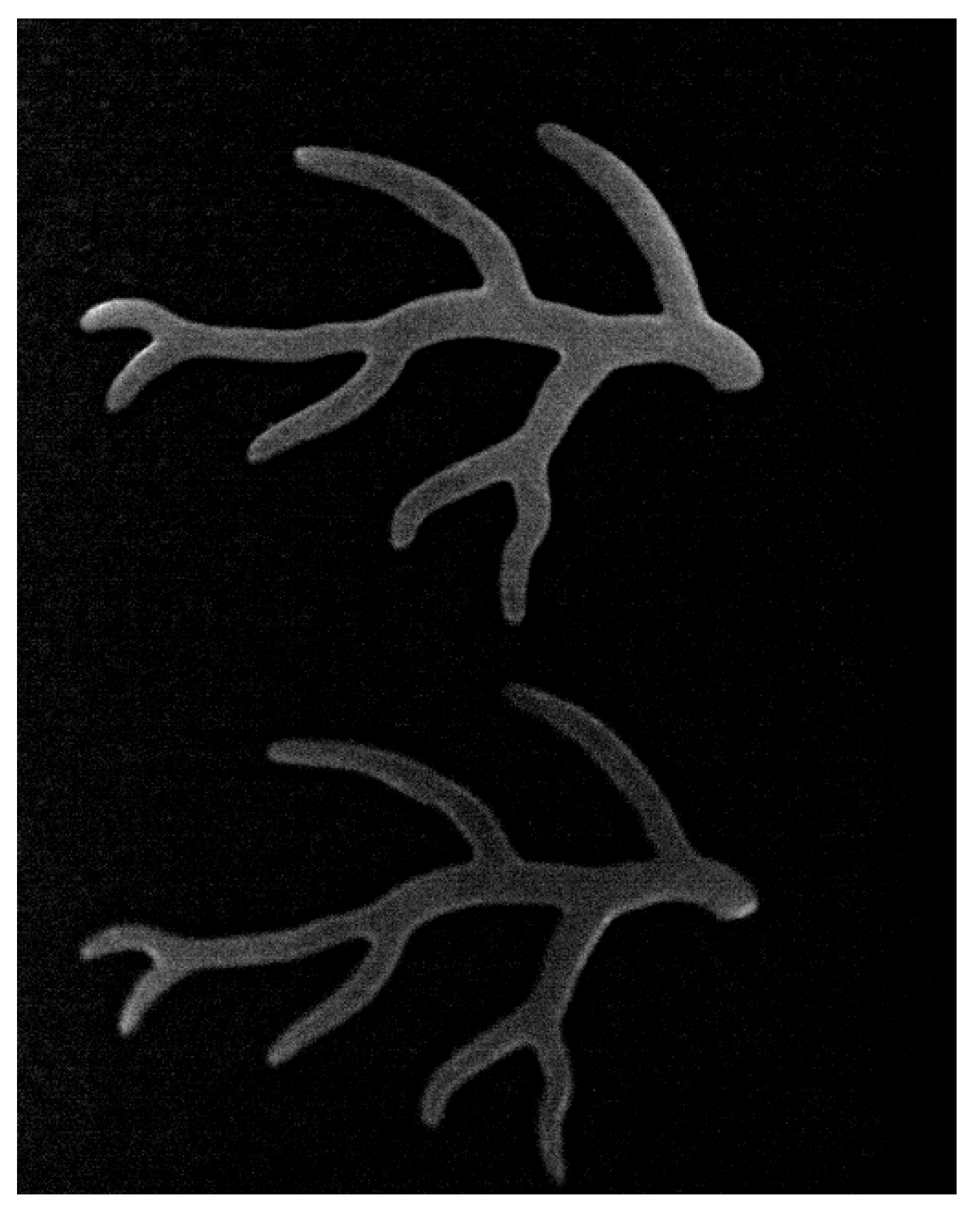 Cancers 17 02676 g0a3