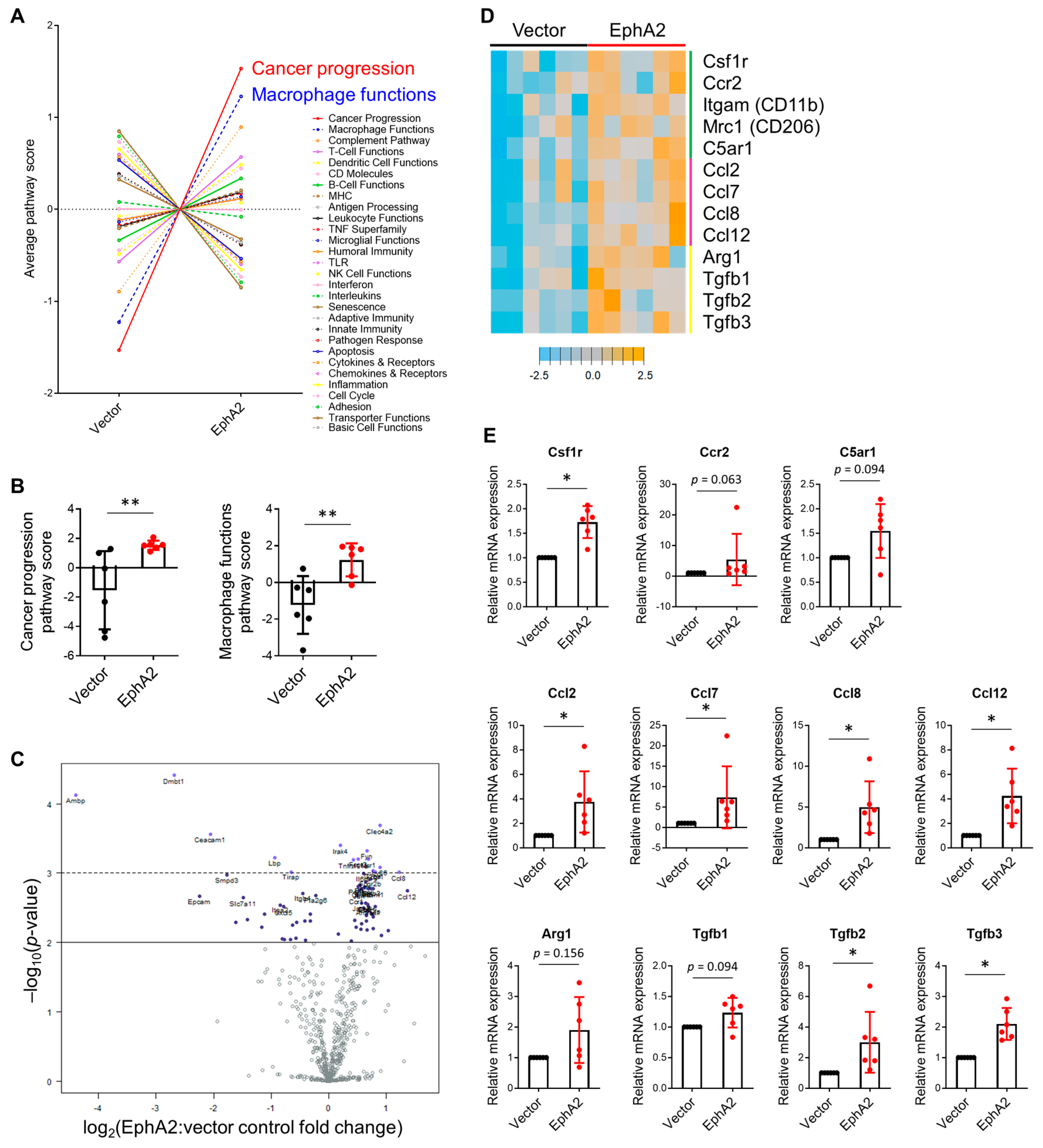Cancers 17 02693 g005 Cancers 17 02693 g005