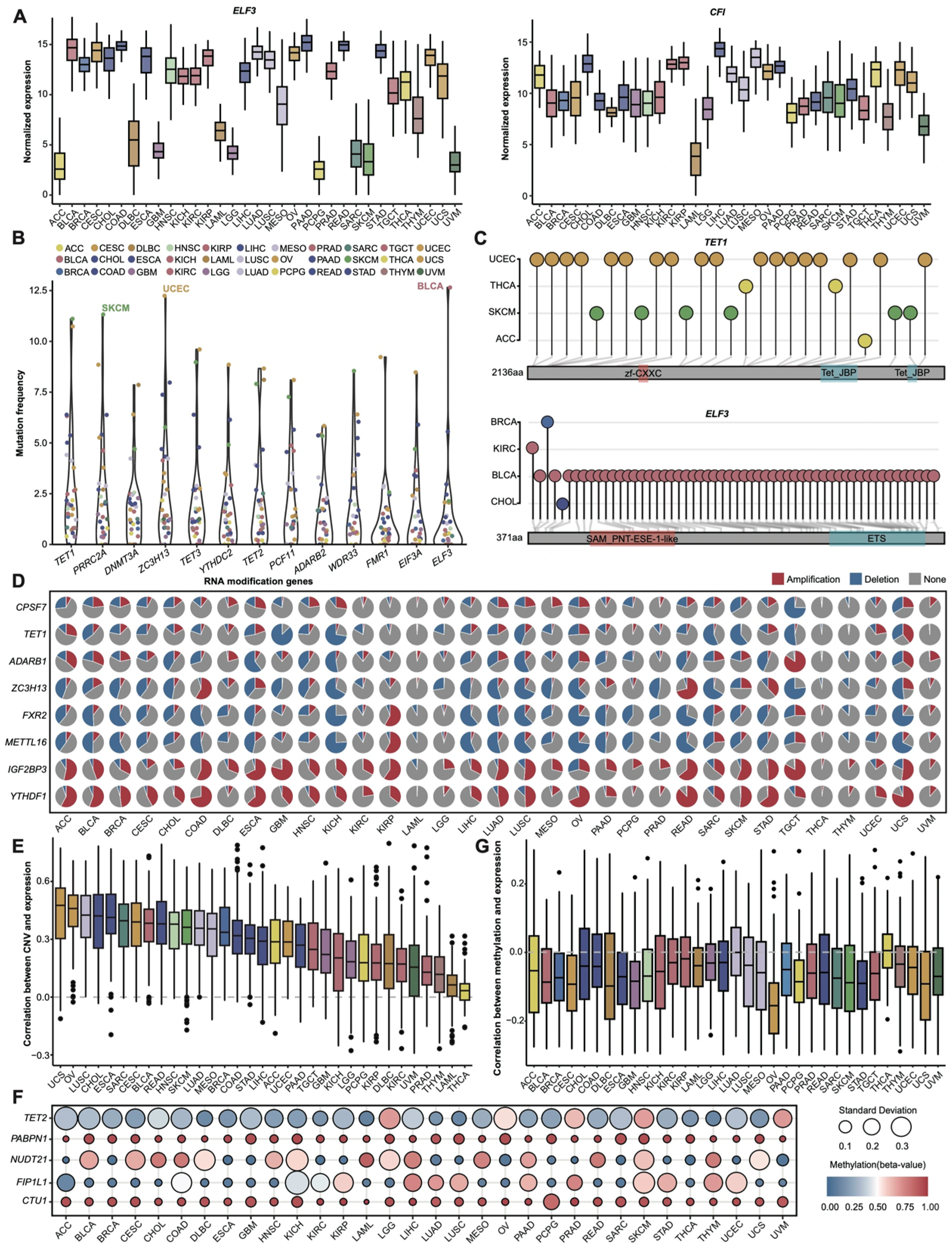 Cancers 17 02695 g001 Cancers 17 02695 g001