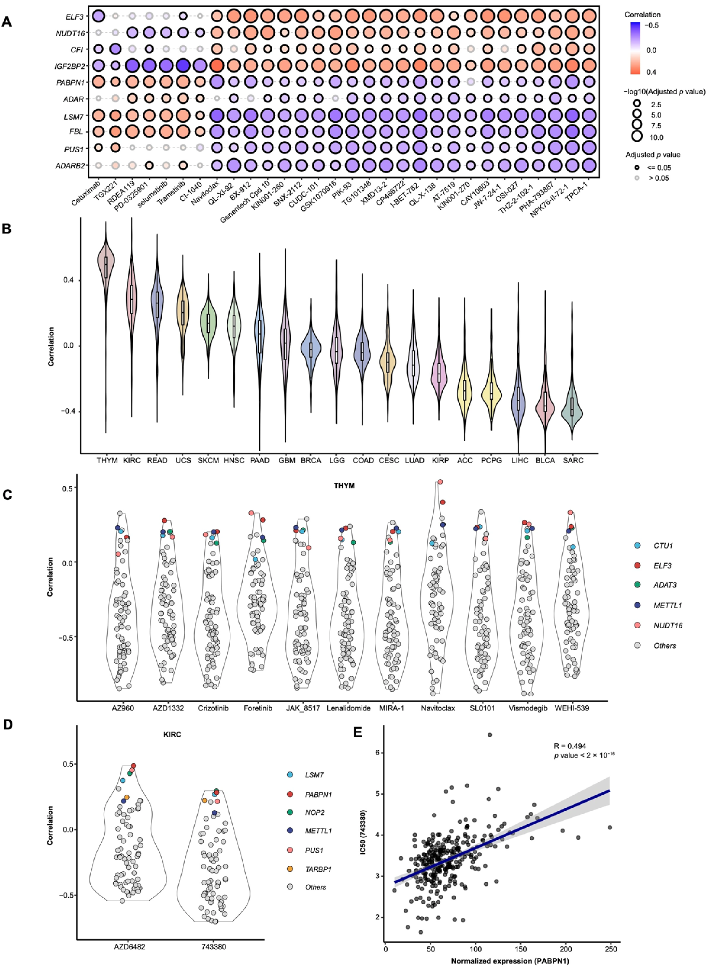 Cancers 17 02695 g005 Cancers 17 02695 g005
