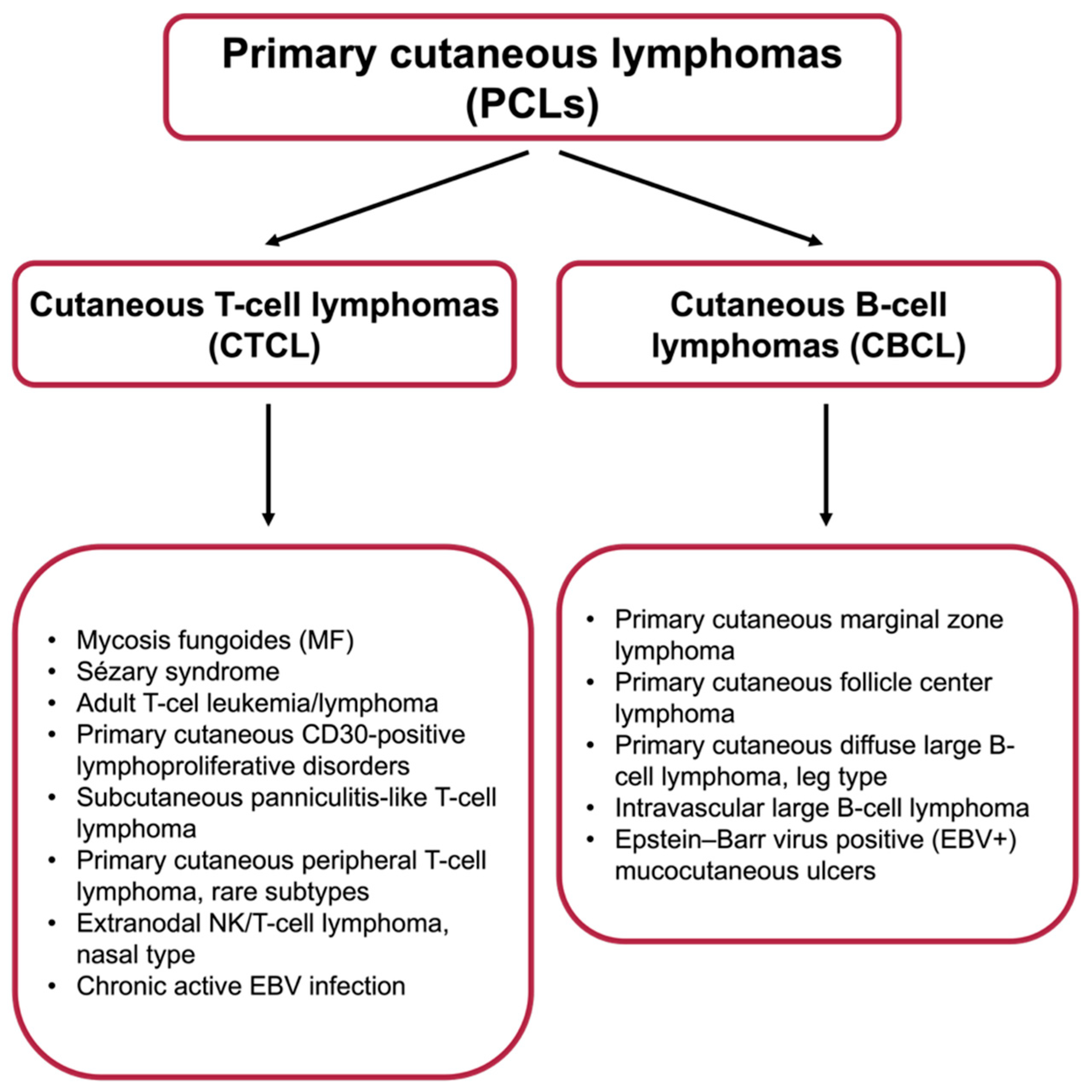 Cancers 17 02722 g001 Cancers 17 02722 g001