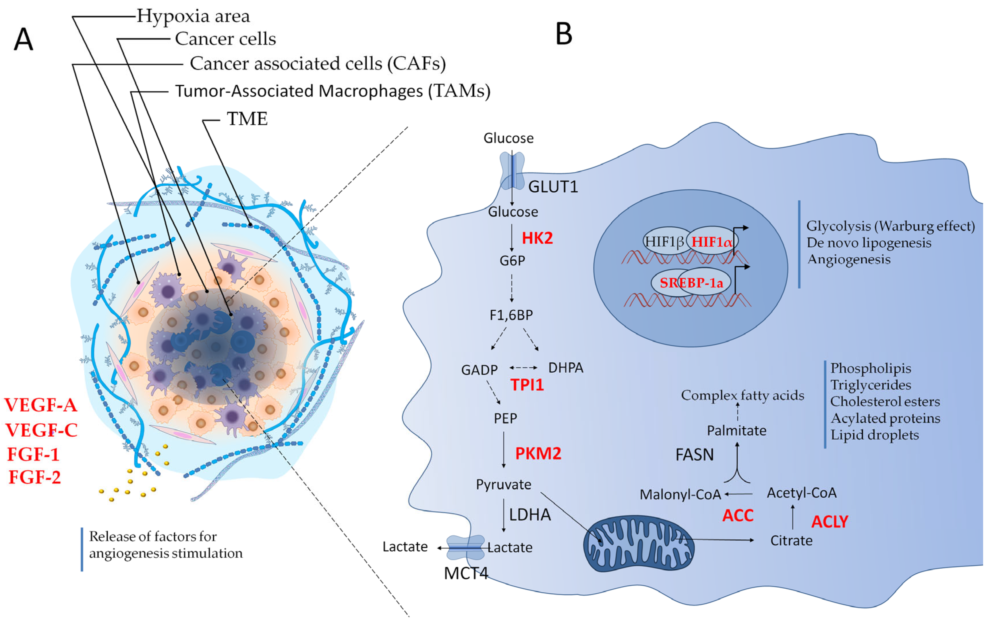 Cancers 17 02731 g002 Cancers 17 02731 g002