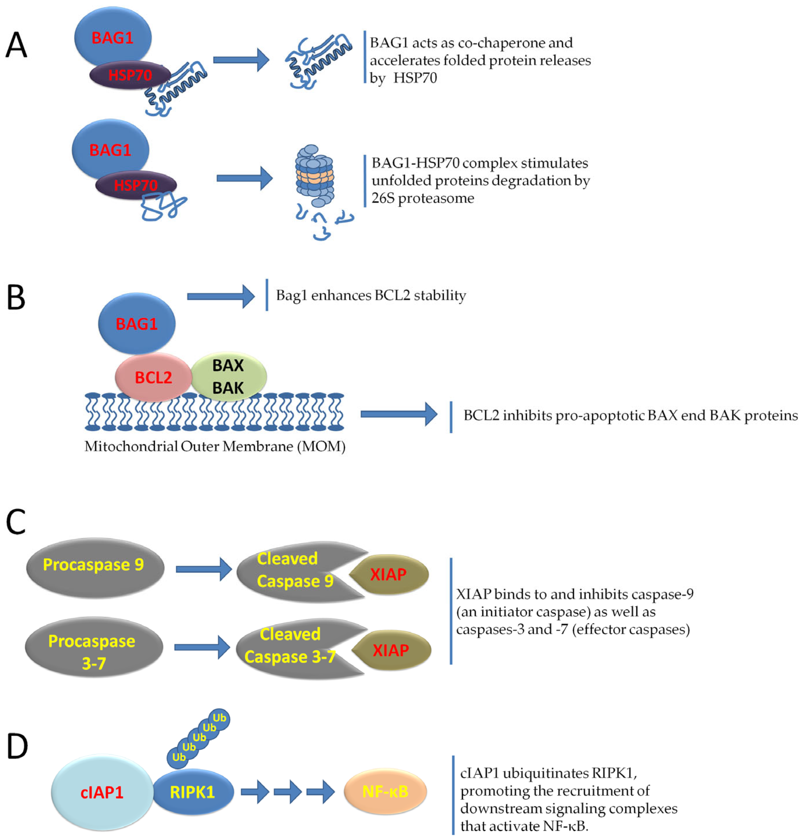 Cancers 17 02731 g004 Cancers 17 02731 g004