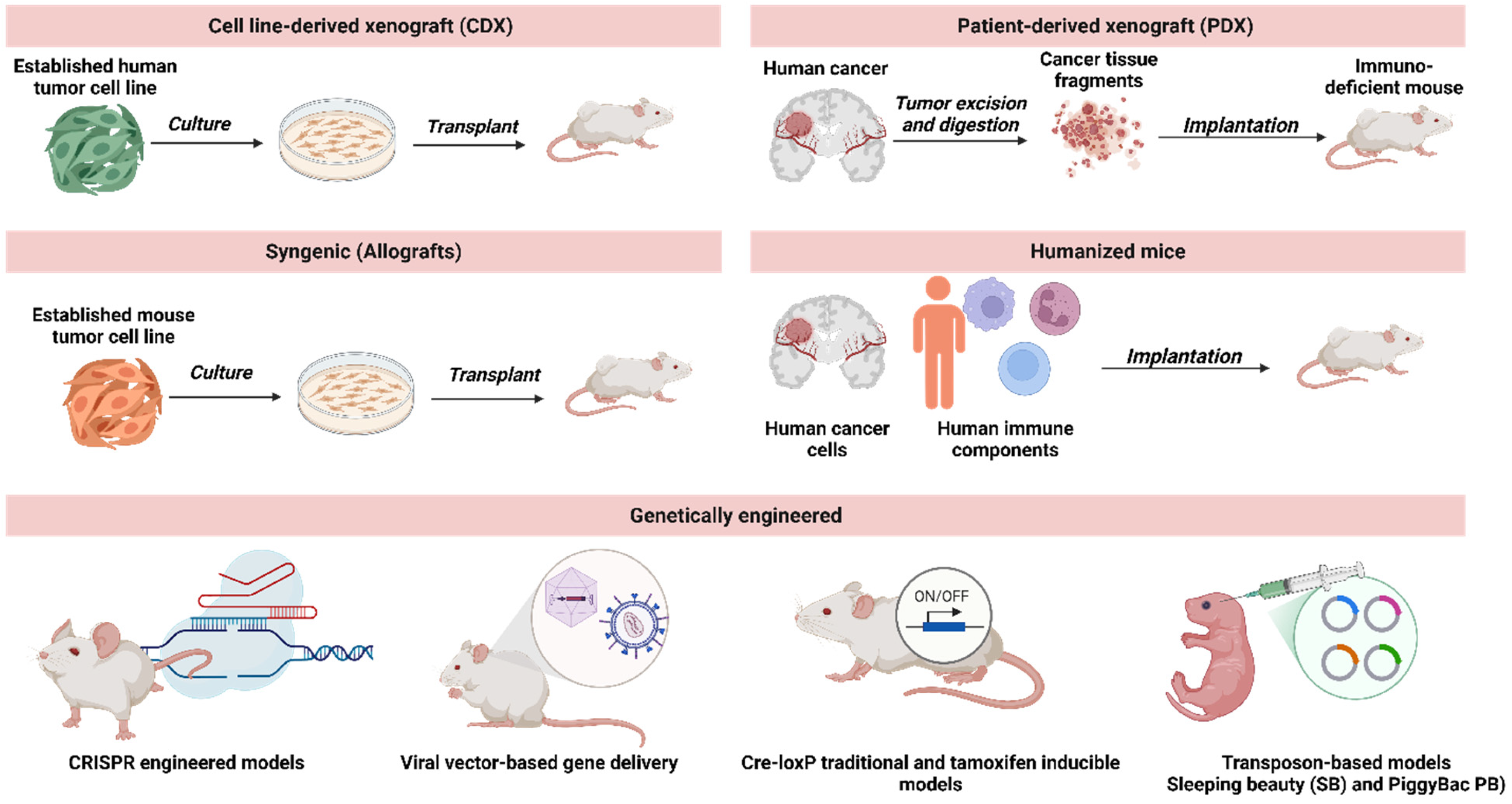 Cancers 17 02776 g001 Cancers 17 02776 g001