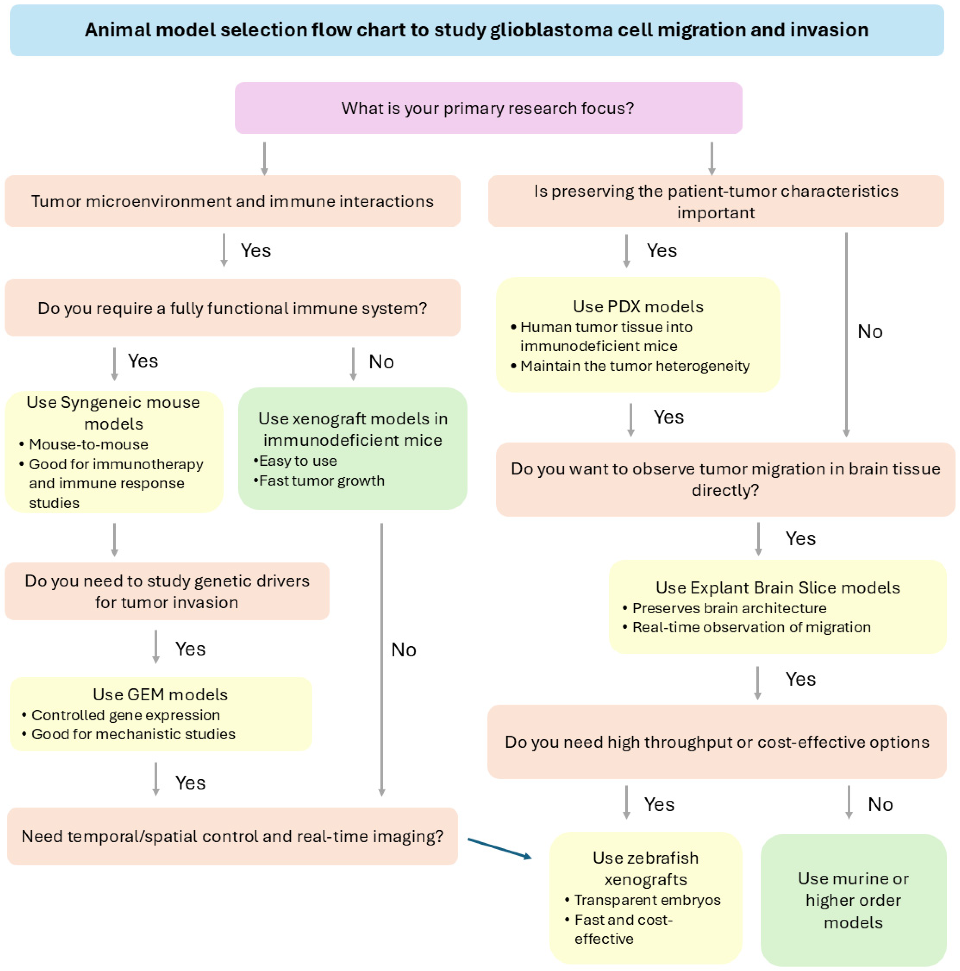 Cancers 17 02776 g002 Cancers 17 02776 g002
