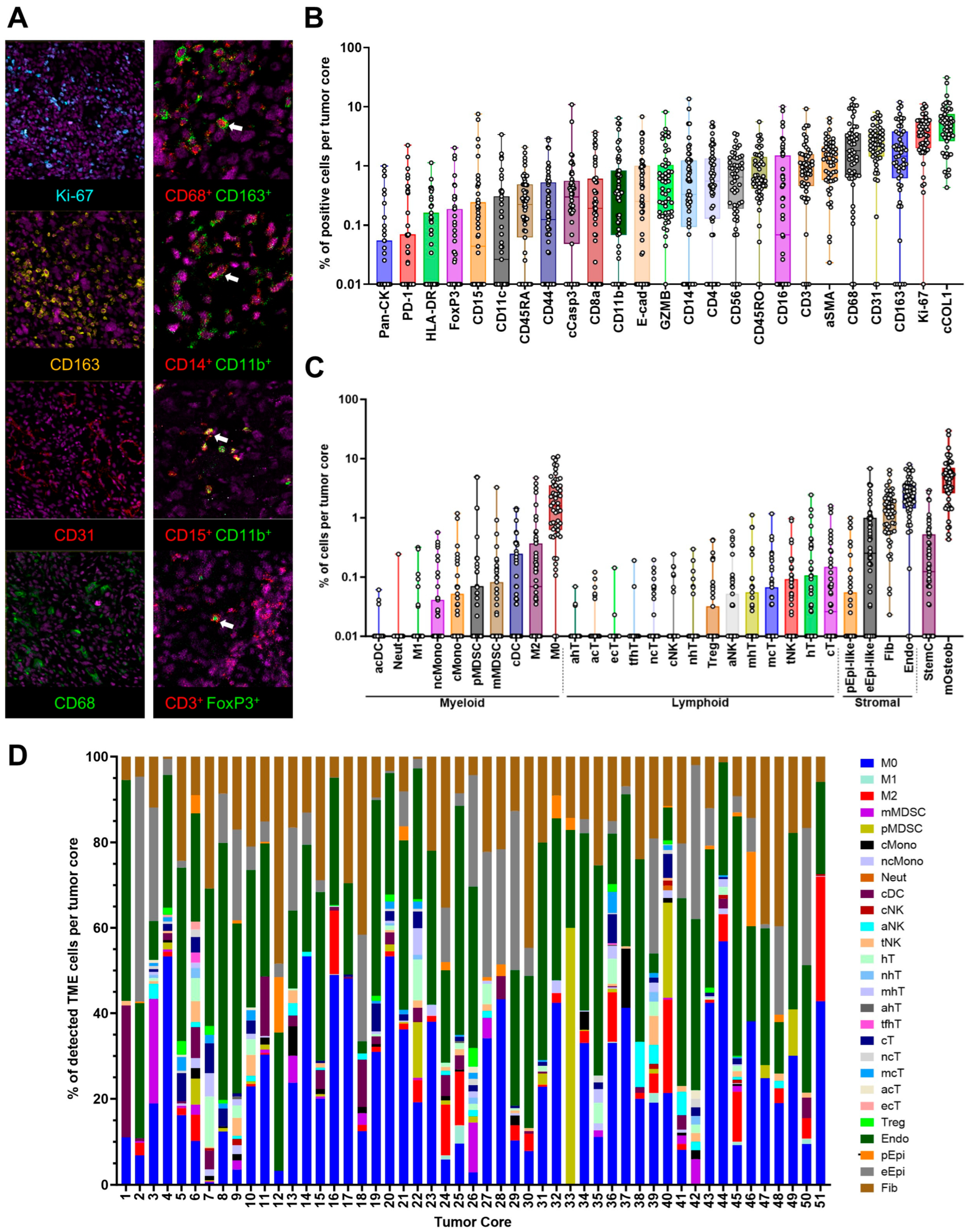 Cancers 17 02780 g001 Cancers 17 02780 g001