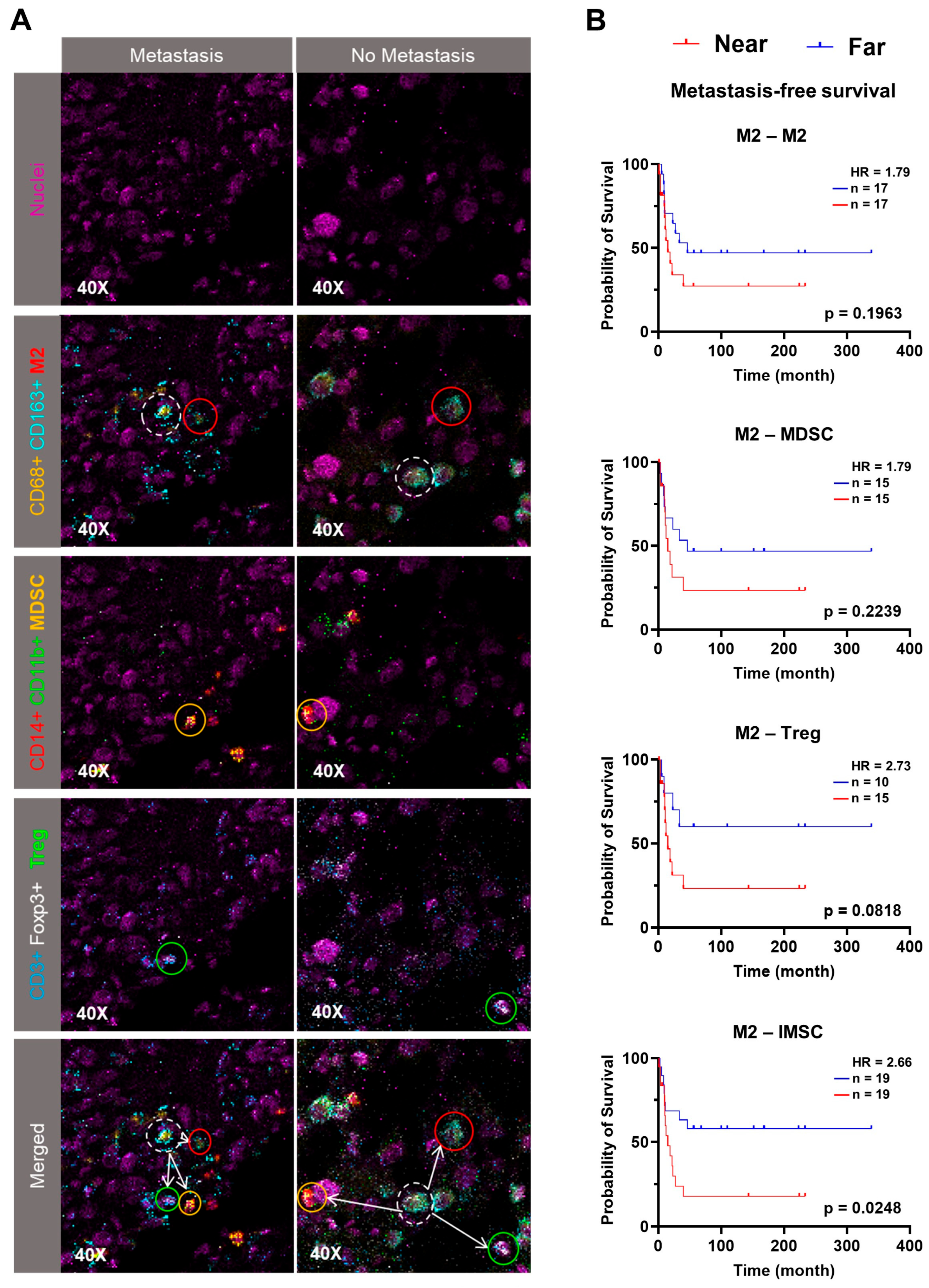 Cancers 17 02780 g004 Cancers 17 02780 g004