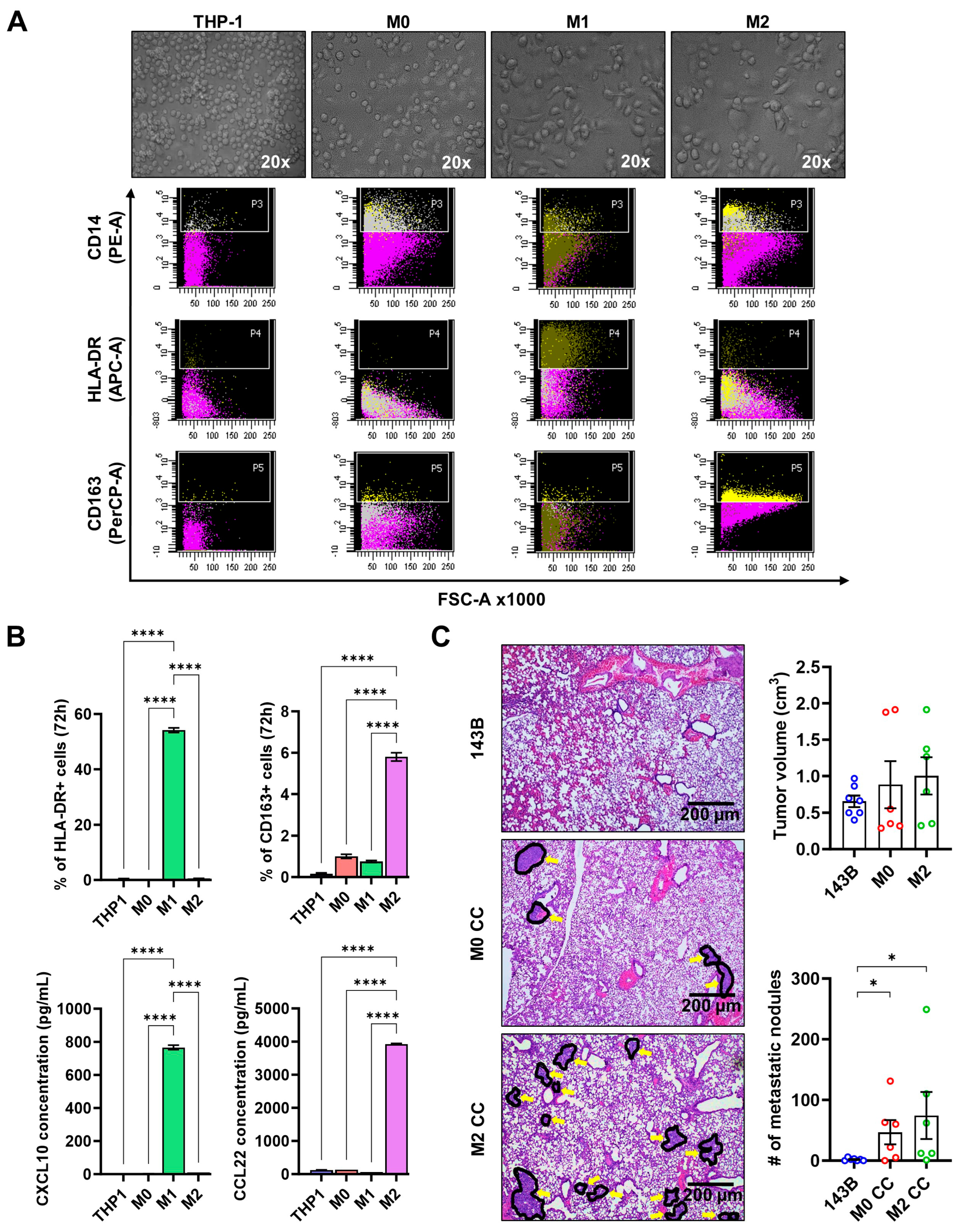 Cancers 17 02780 g005 Cancers 17 02780 g005