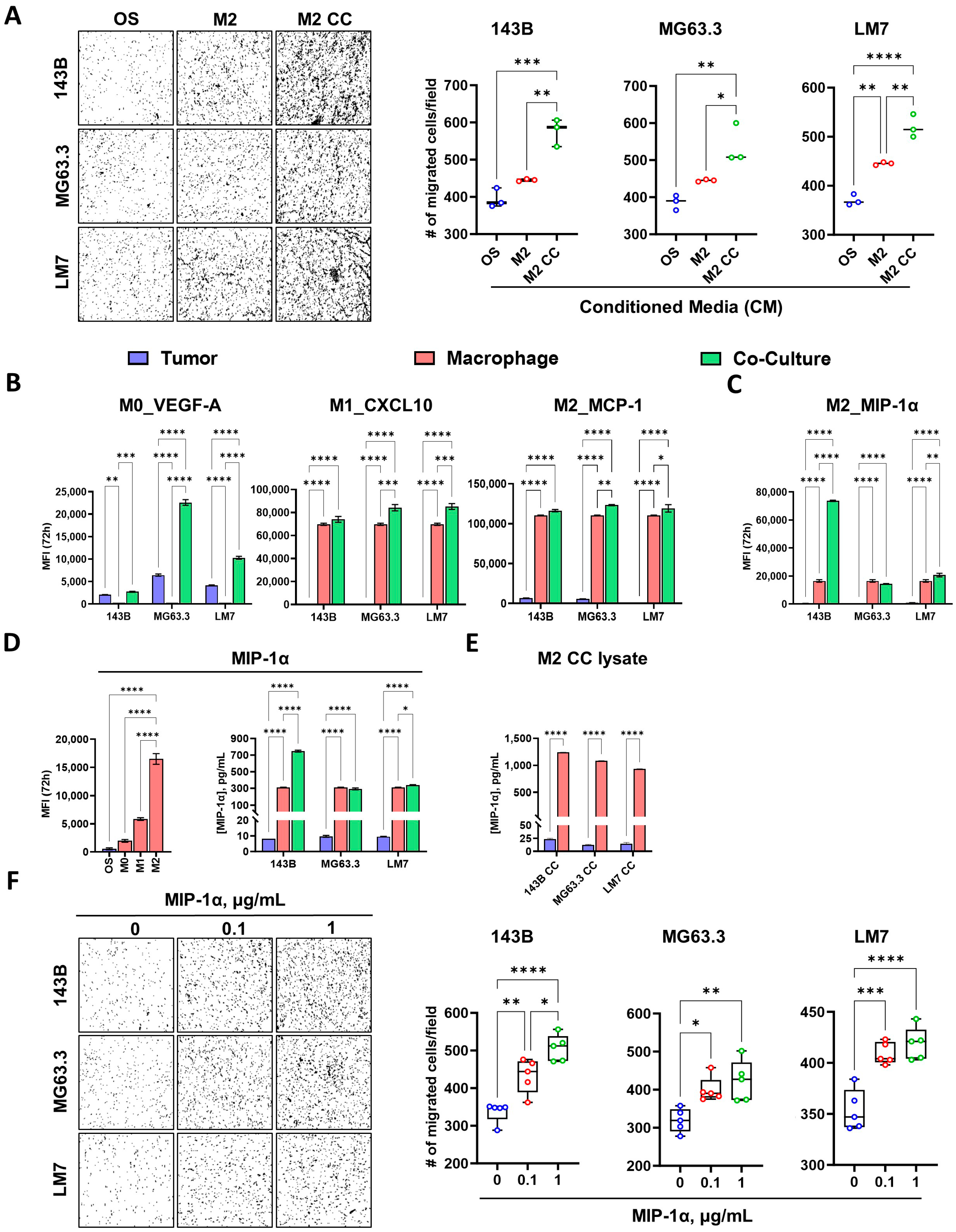 Cancers 17 02780 g006 Cancers 17 02780 g006