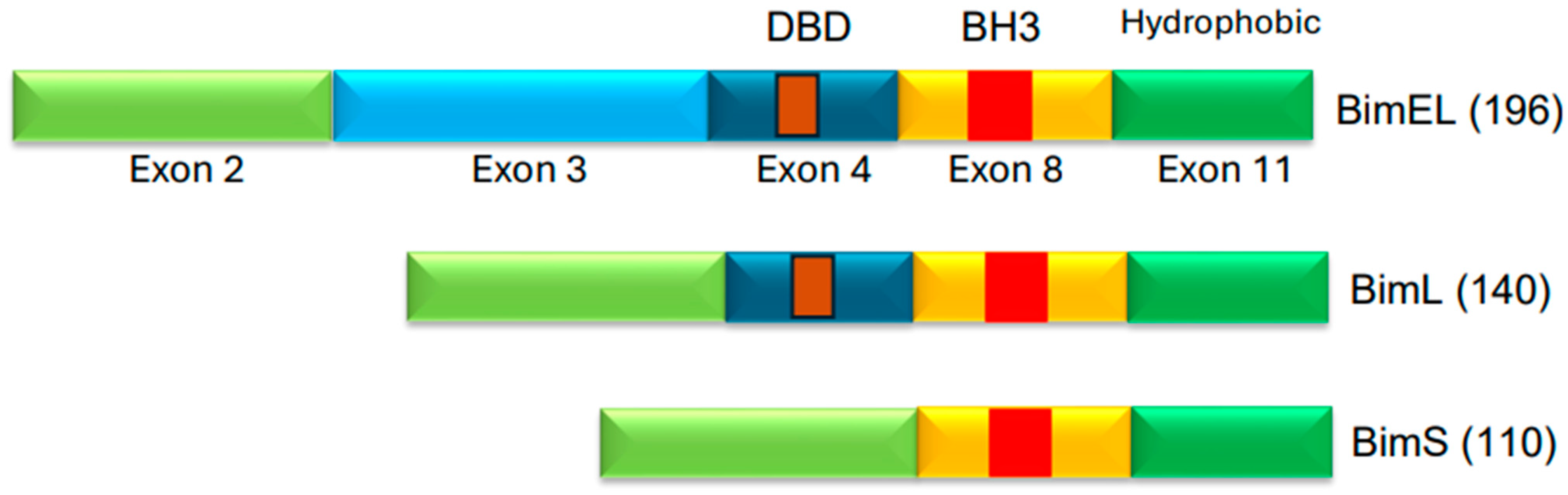 Cancers 17 02791 g004