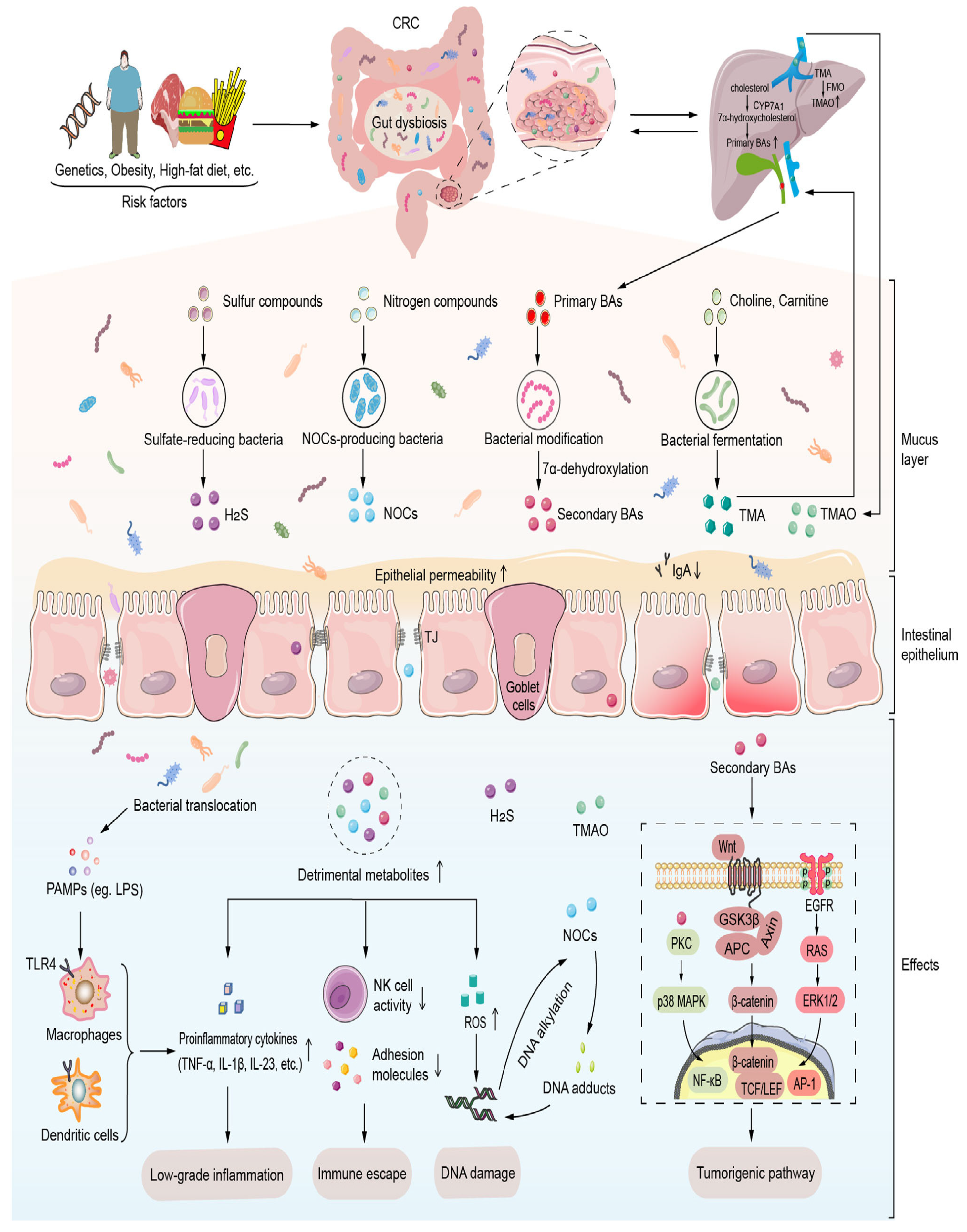 Cancers 17 02795 g001 Cancers 17 02795 g001