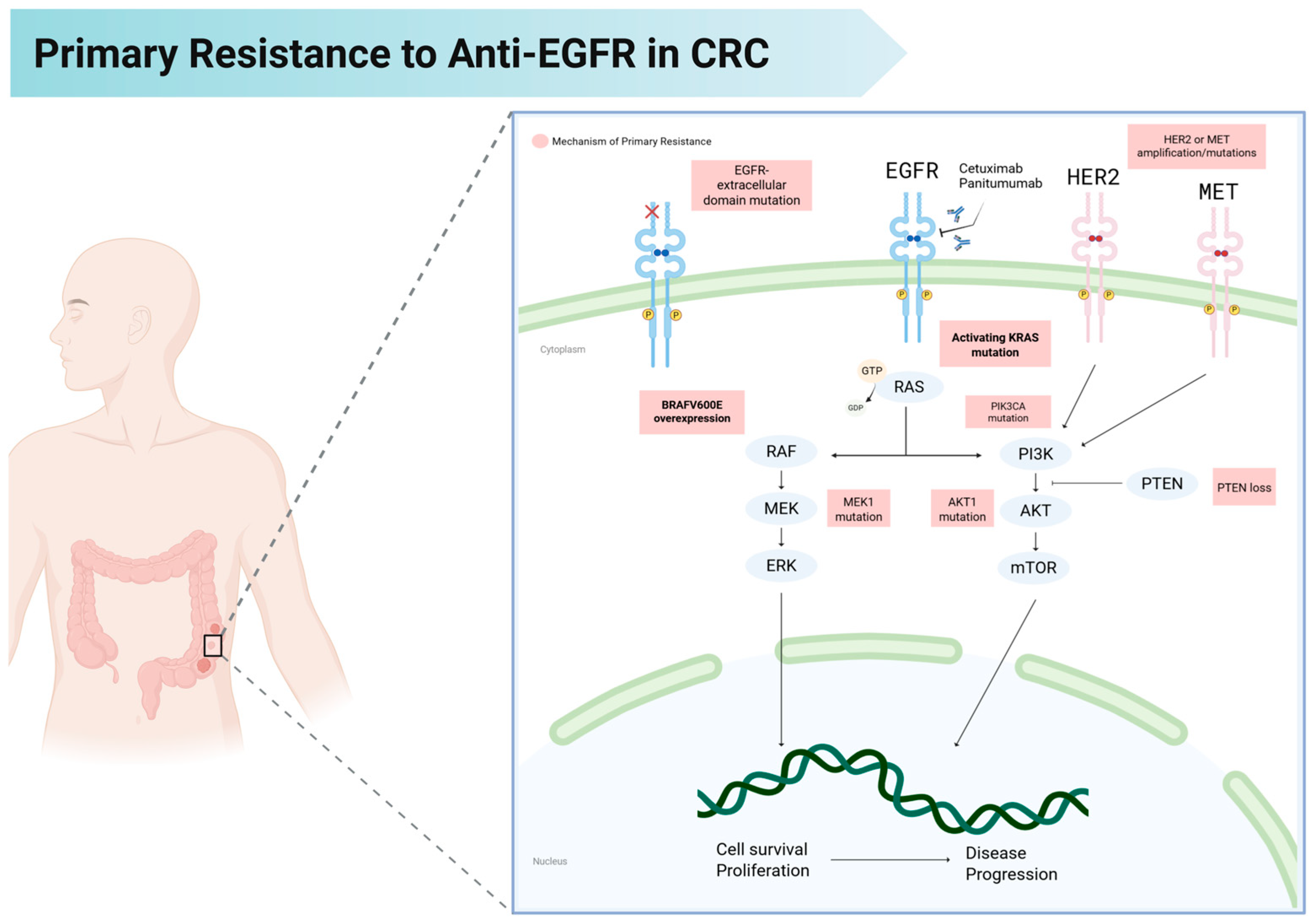 Cancers 17 02804 g001