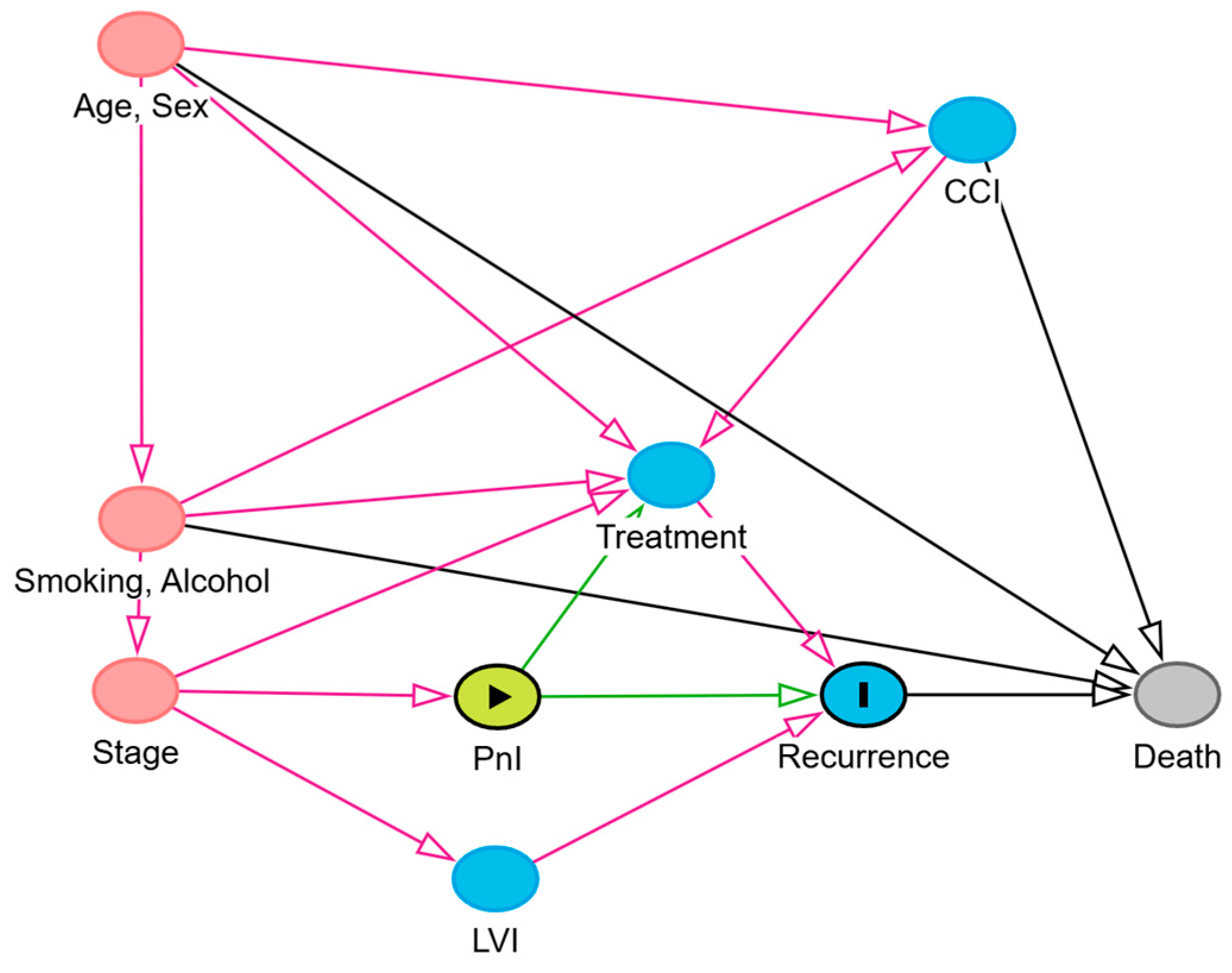 Cancers 17 02812 g005 Cancers 17 02812 g005