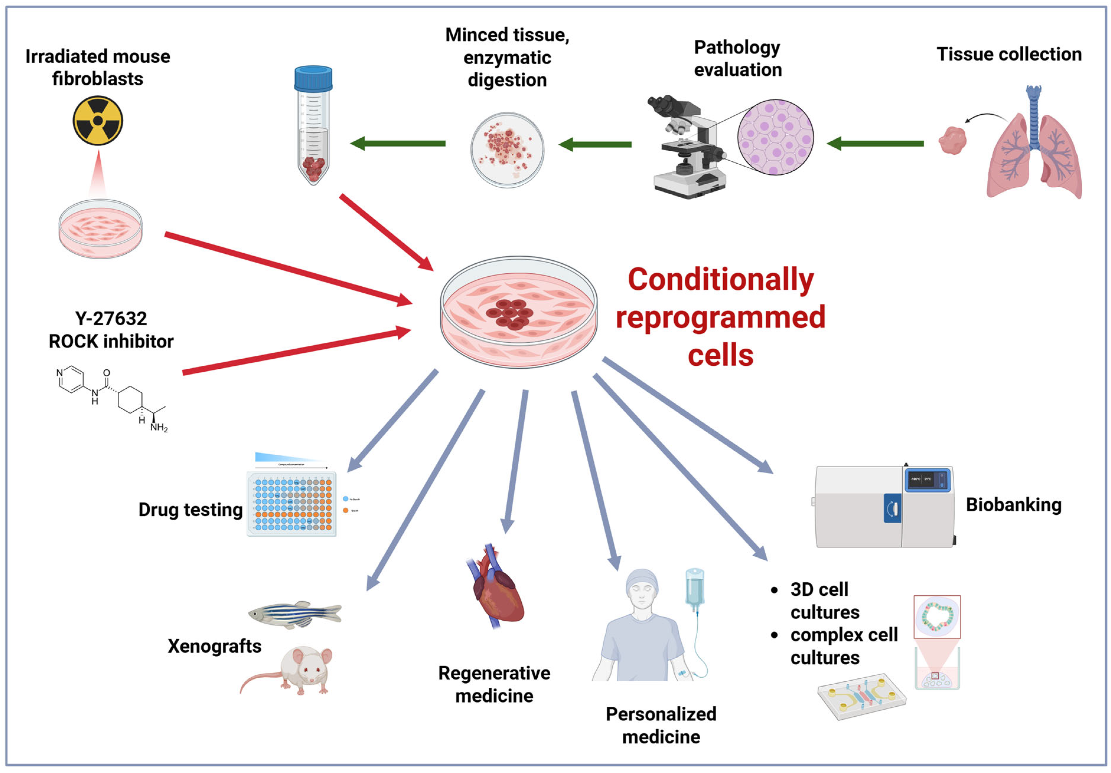 Cancers 17 02834 g001