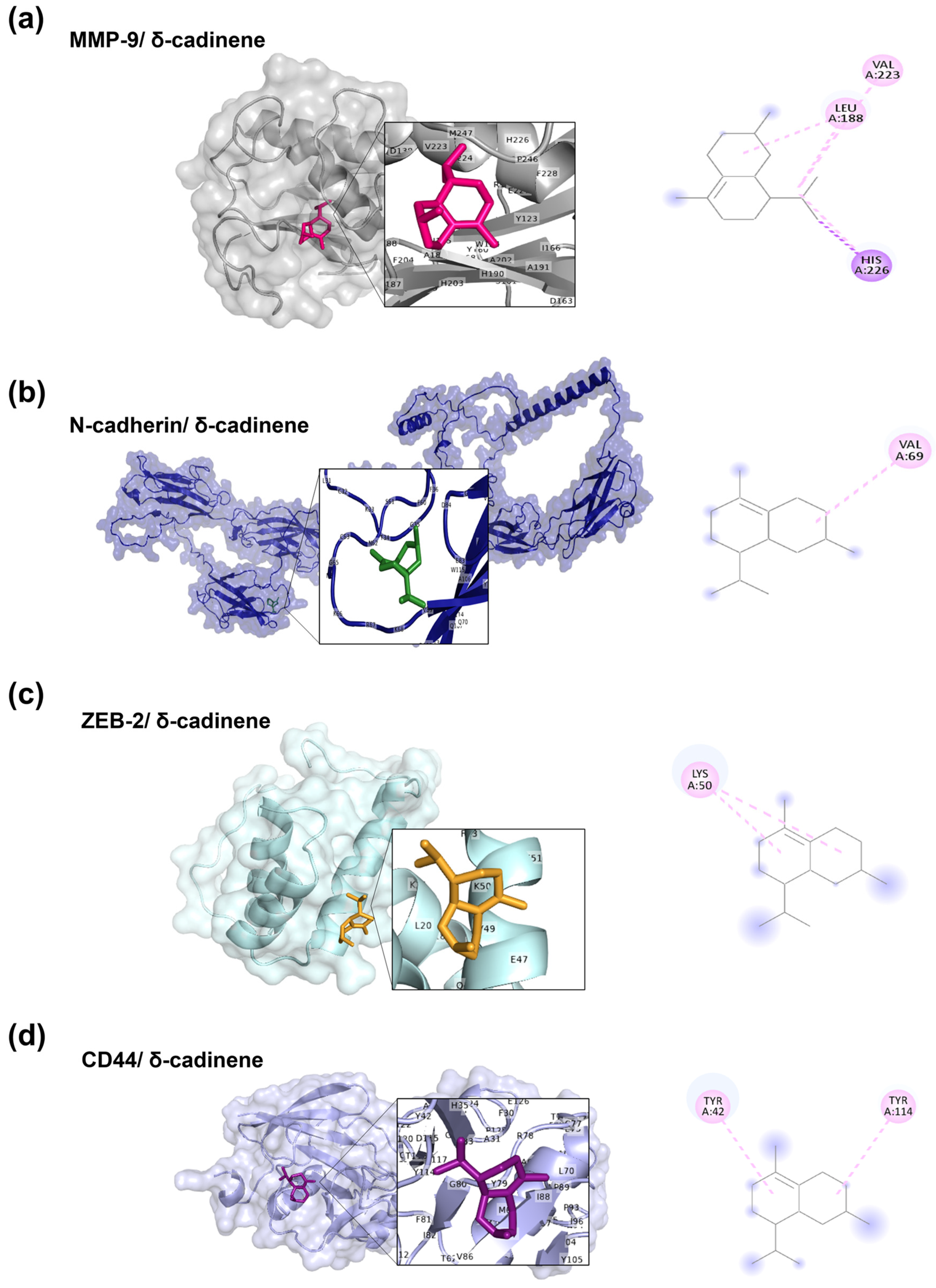 Cancers 17 02839 g003