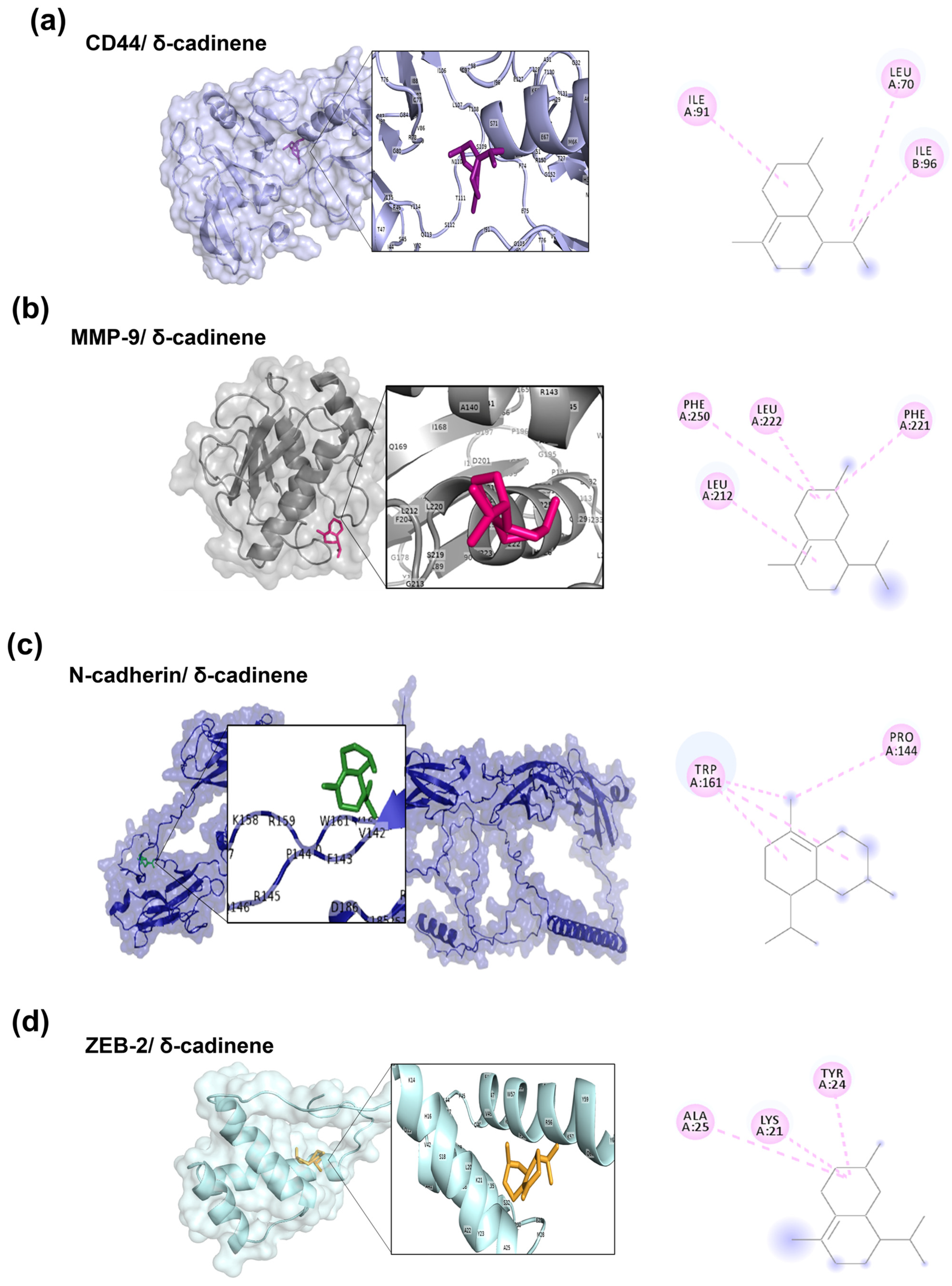 Cancers 17 02839 g005