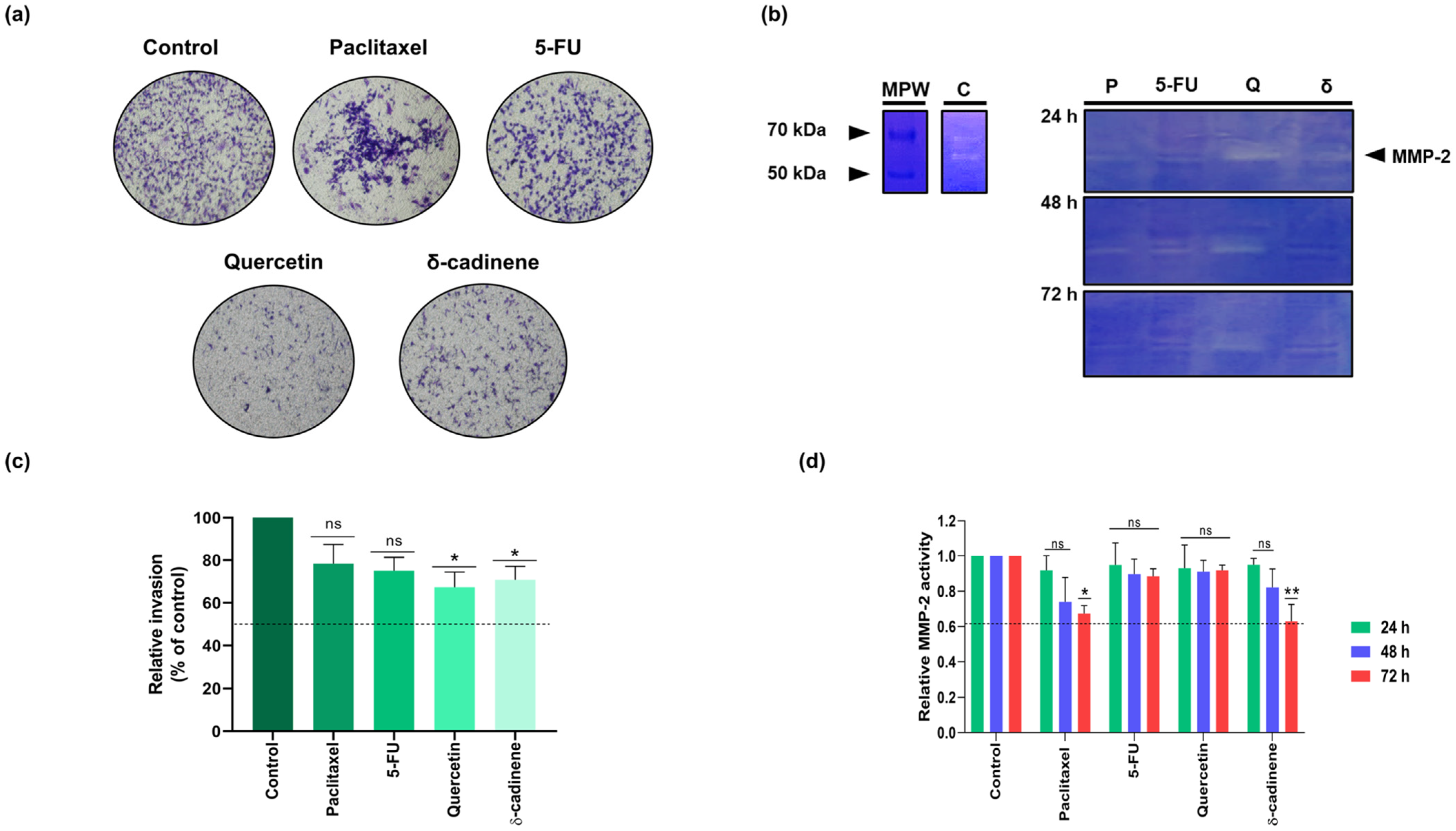 Cancers 17 02839 g012