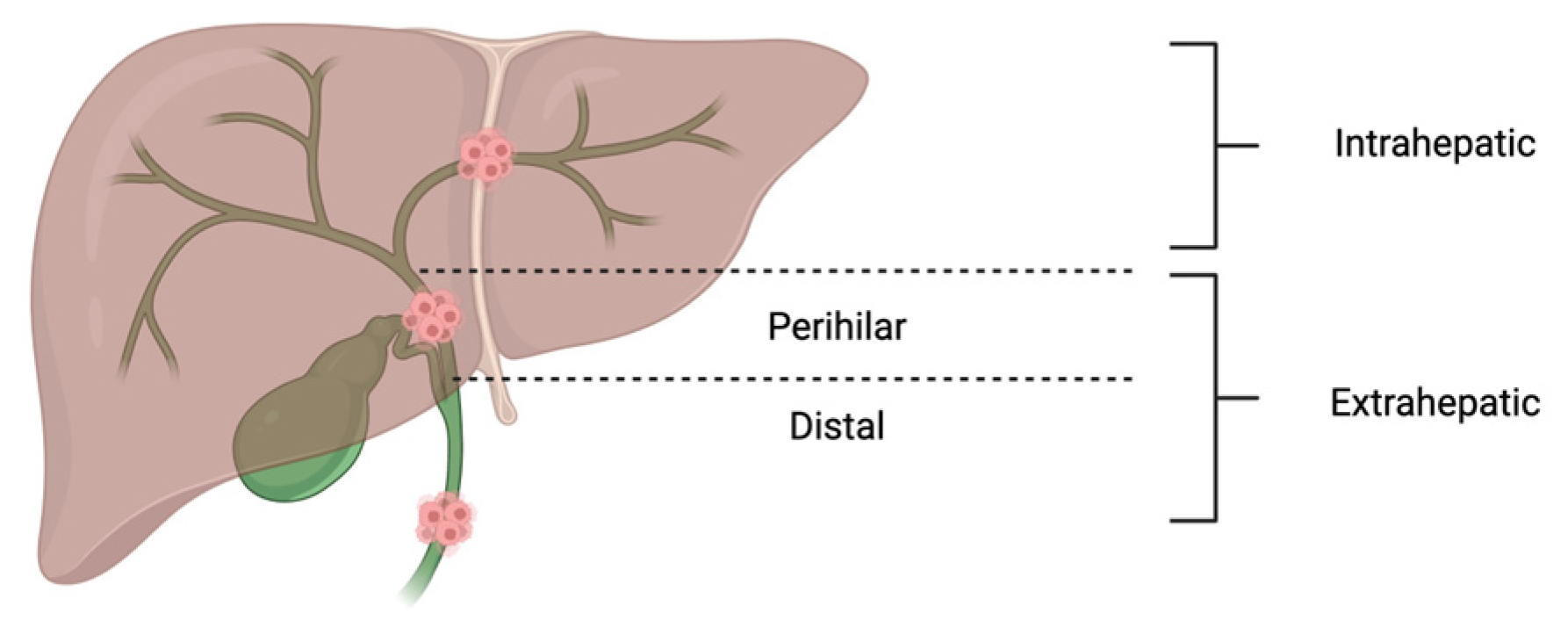 Cancers 17 02843 g001 Cancers 17 02843 g001