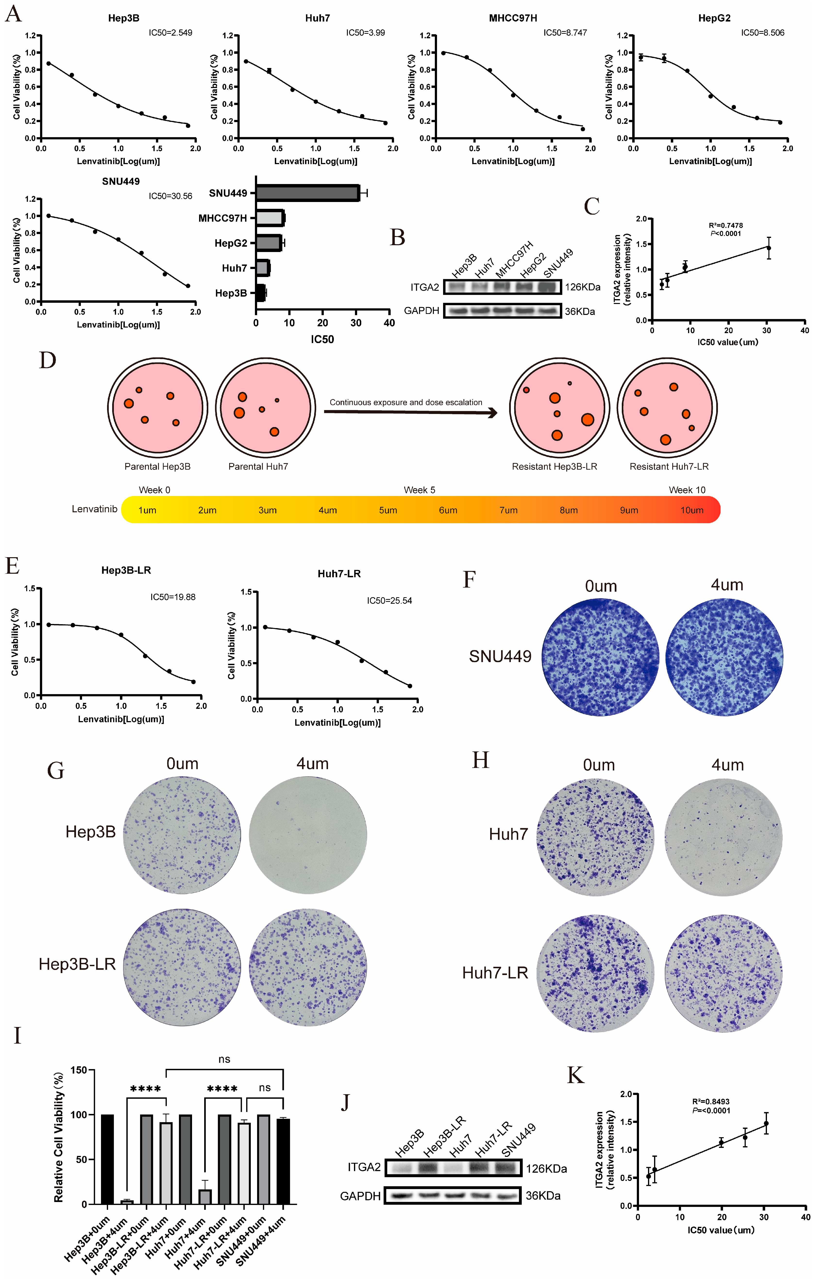 Cancers 17 02846 g001 Cancers 17 02846 g001