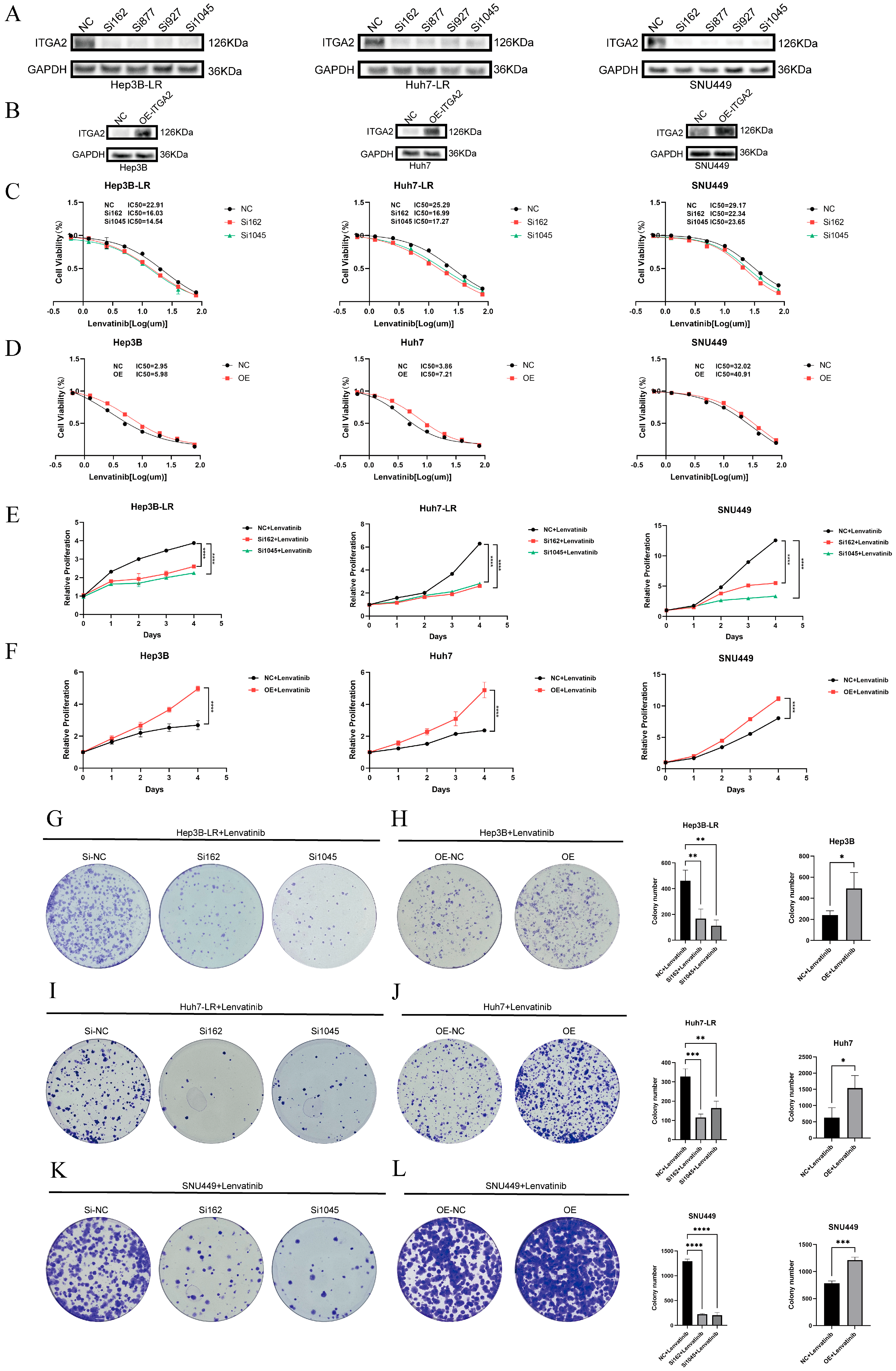 Cancers 17 02846 g002 Cancers 17 02846 g002