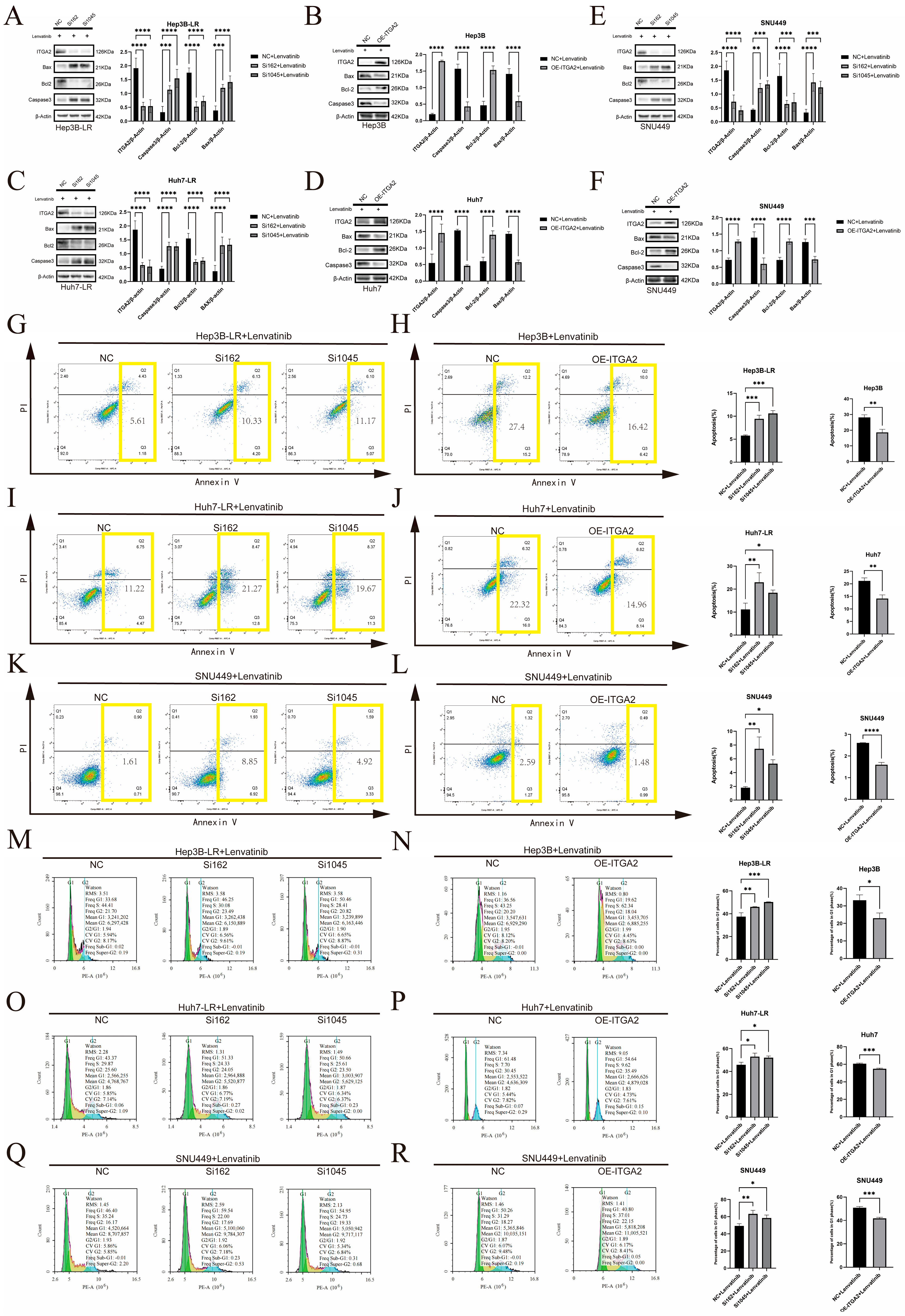 Cancers 17 02846 g003 Cancers 17 02846 g003