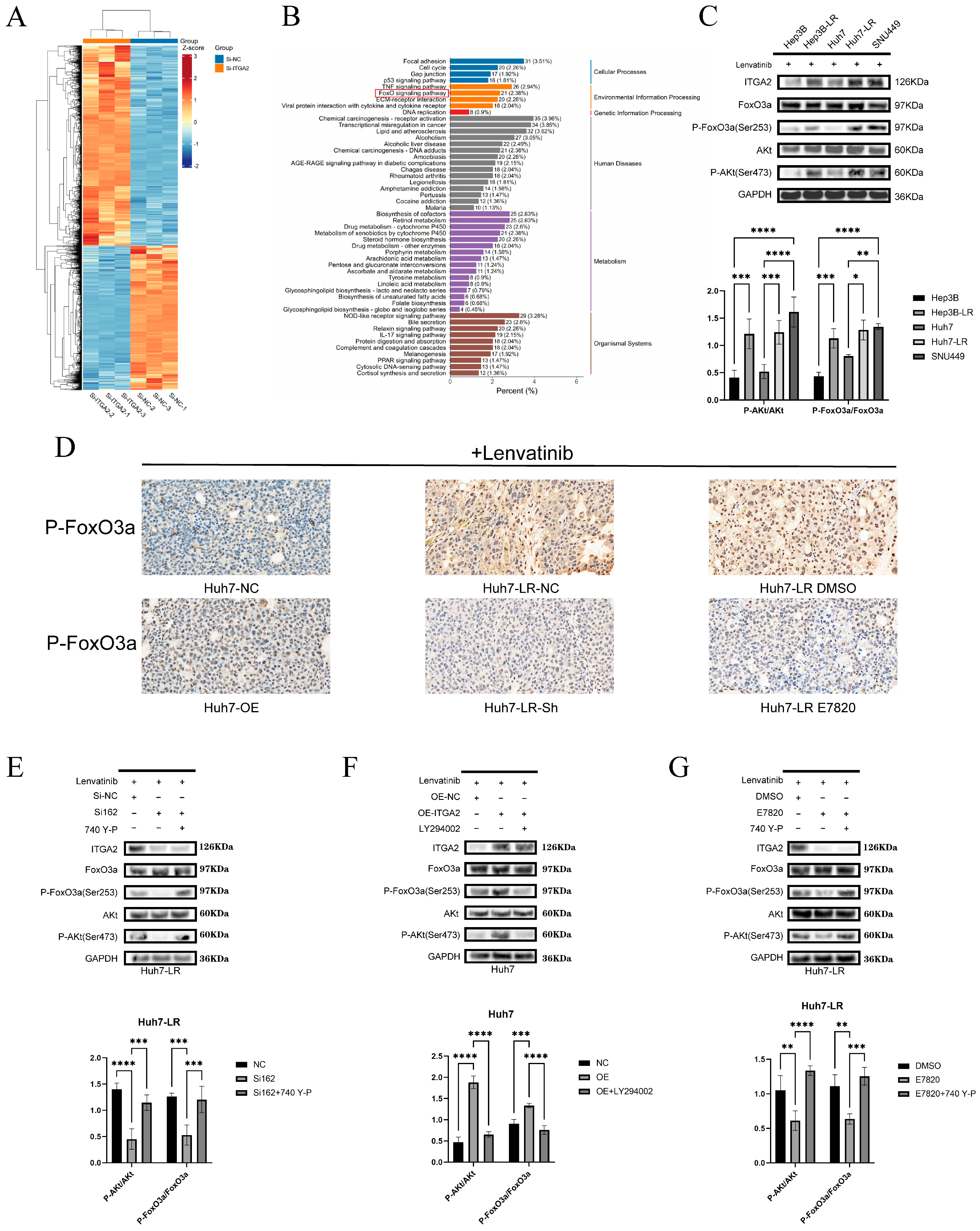Cancers 17 02846 g007 Cancers 17 02846 g007
